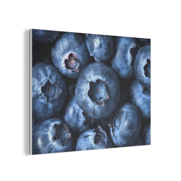 Bessen - Blauw - Fruit PET vilt klein -3d