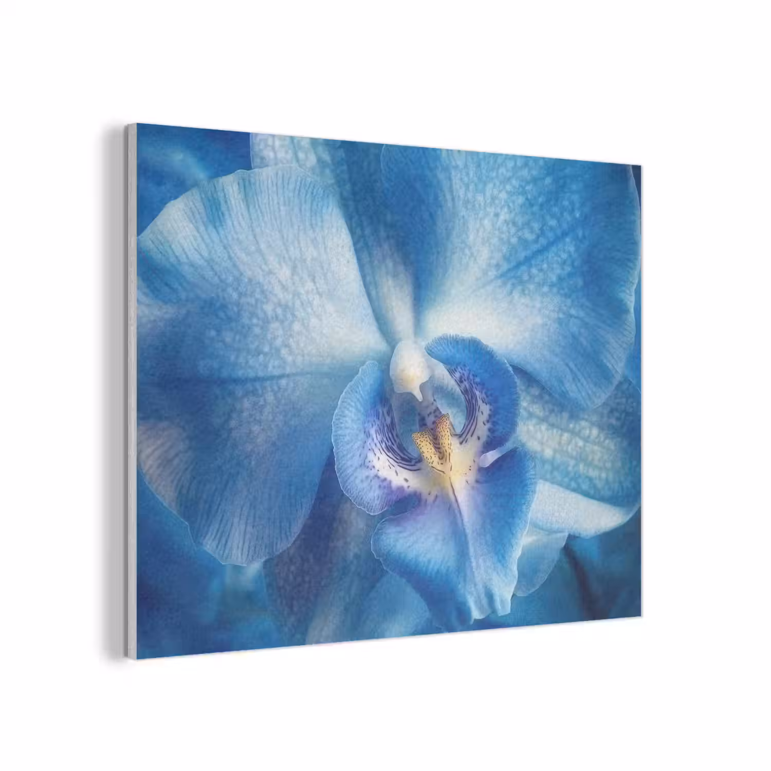 Blauw - Orchidee - Elegeant PET vilt klein -3d