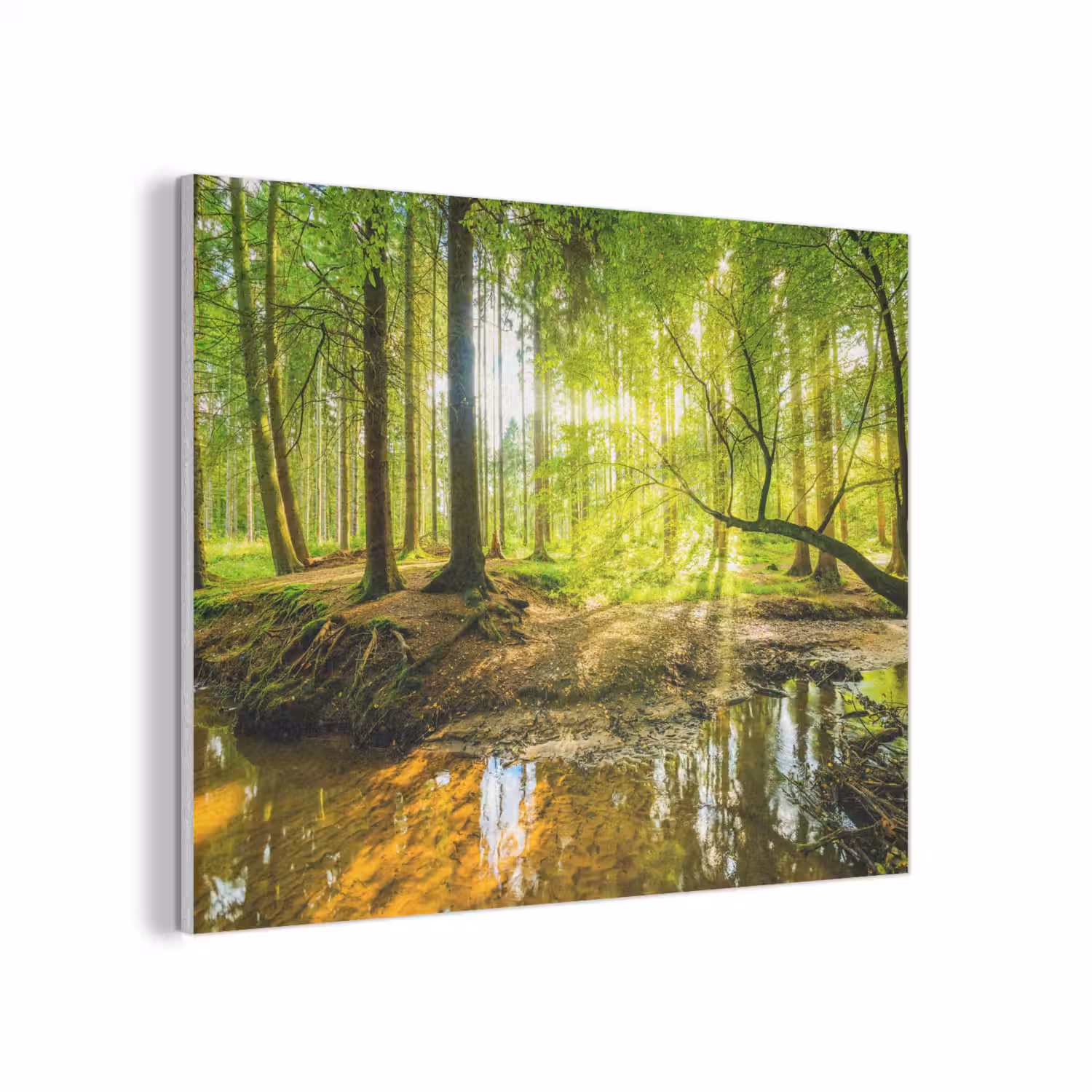 Bos - Landschap - Water - Bomen - Zon - Groen - Natuur PET vilt klein -3d