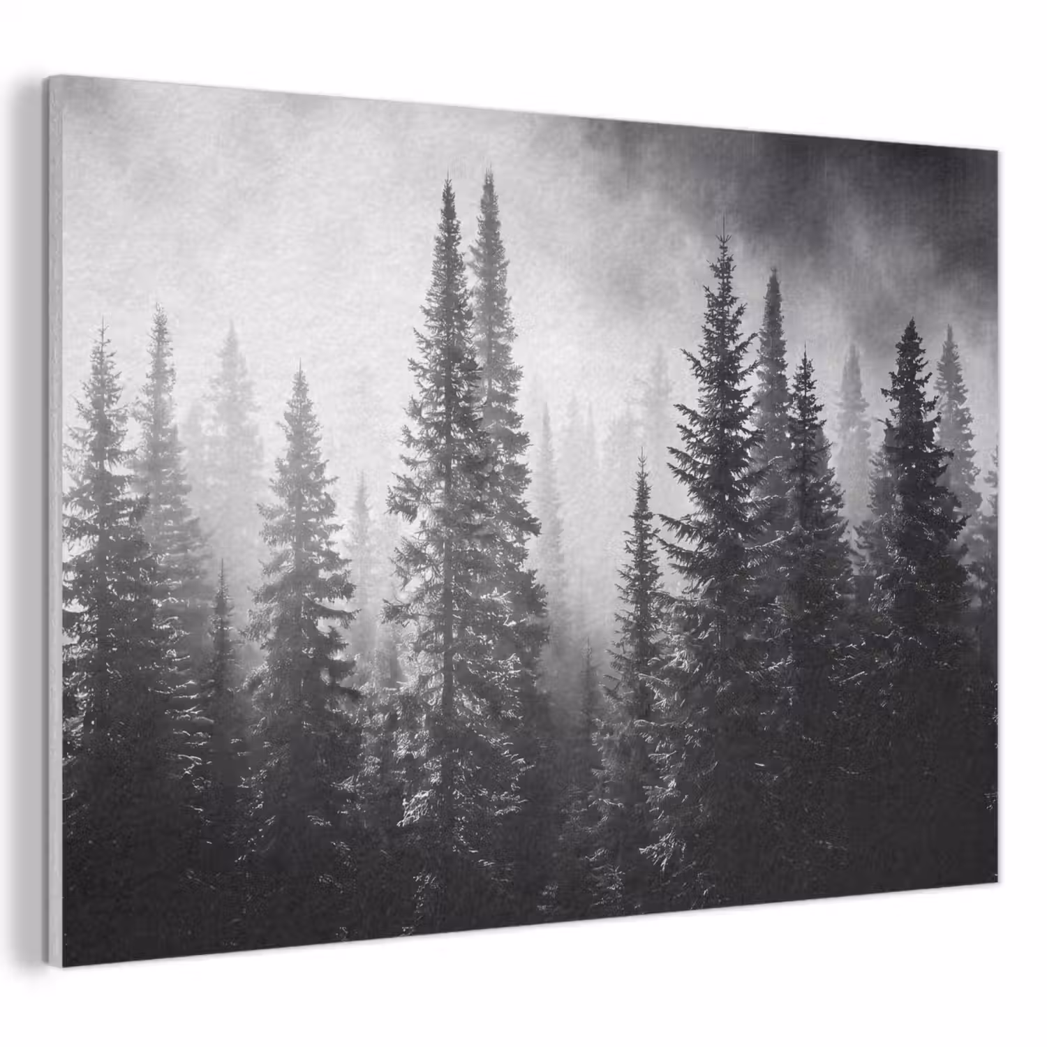 Bos - Mist - Winter - Monochroom - Natuur PET vilt klein -3d