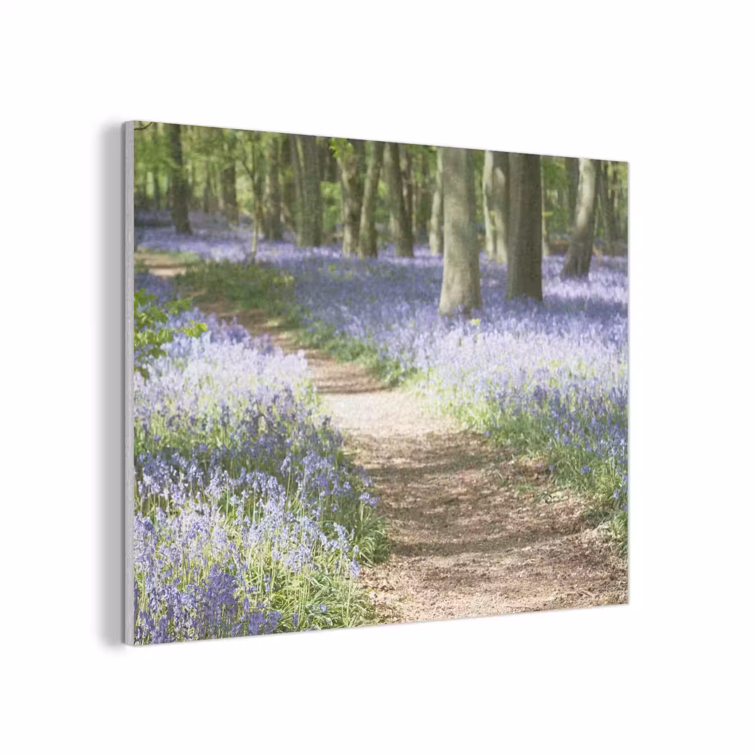 Bos - Pad - Bloemen - Paars - Groen - Natuur PET vilt klein -3d