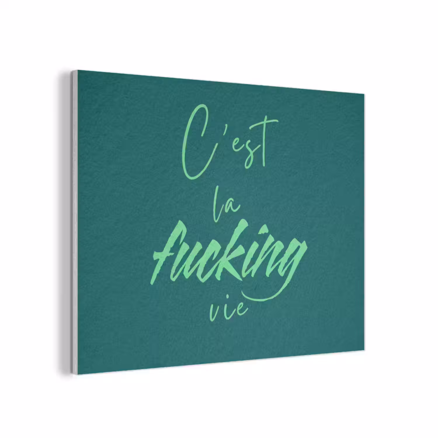 c'est la fucking vie - Groen - Handgeschreven PET vilt klein -3d