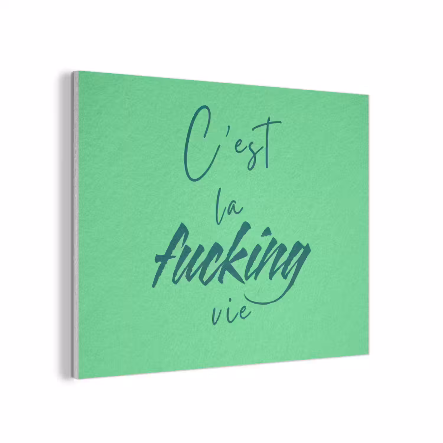 c'est la fucking vie - Groen - Penseelstijl PET vilt klein -3d