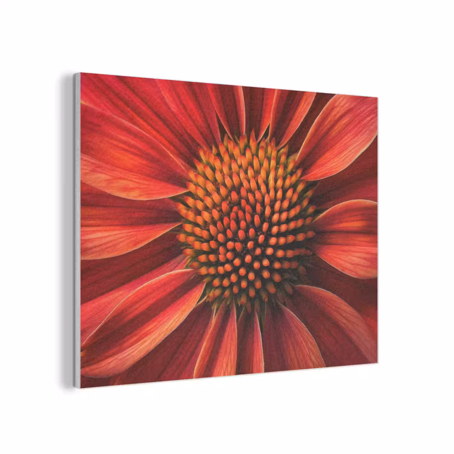Close up - Bloem- Rood PET vilt klein -3d