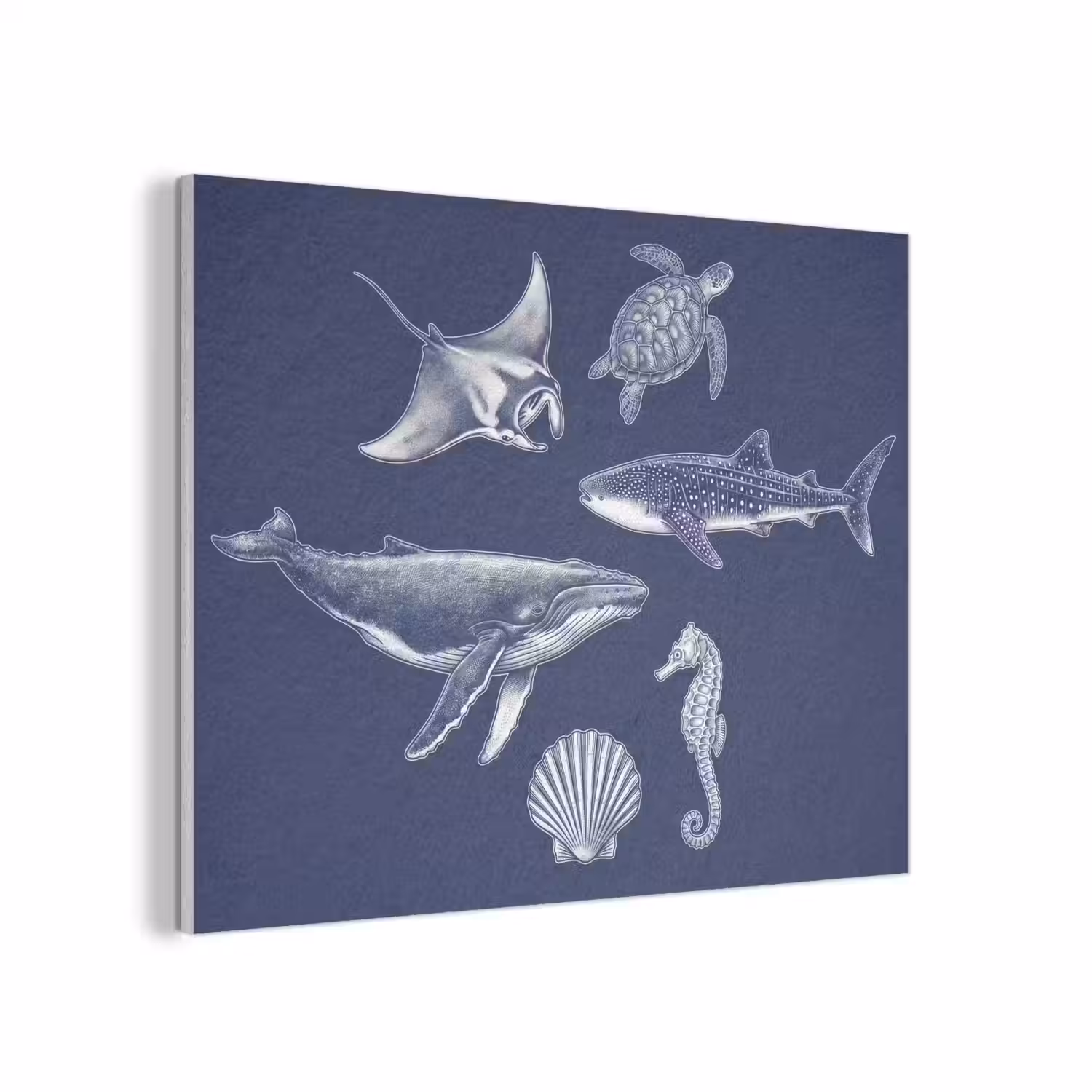 Dieren - Zeeleven - Oceaan - Graveren - Blauw PET vilt klein -3d
