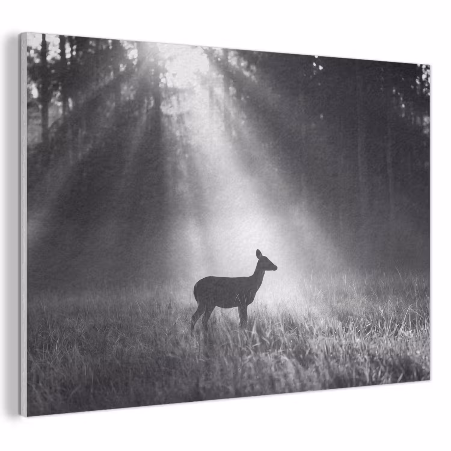 Hert - Bos - Zonnestralen - Zwart-wit - Natuur PET vilt klein -3d
