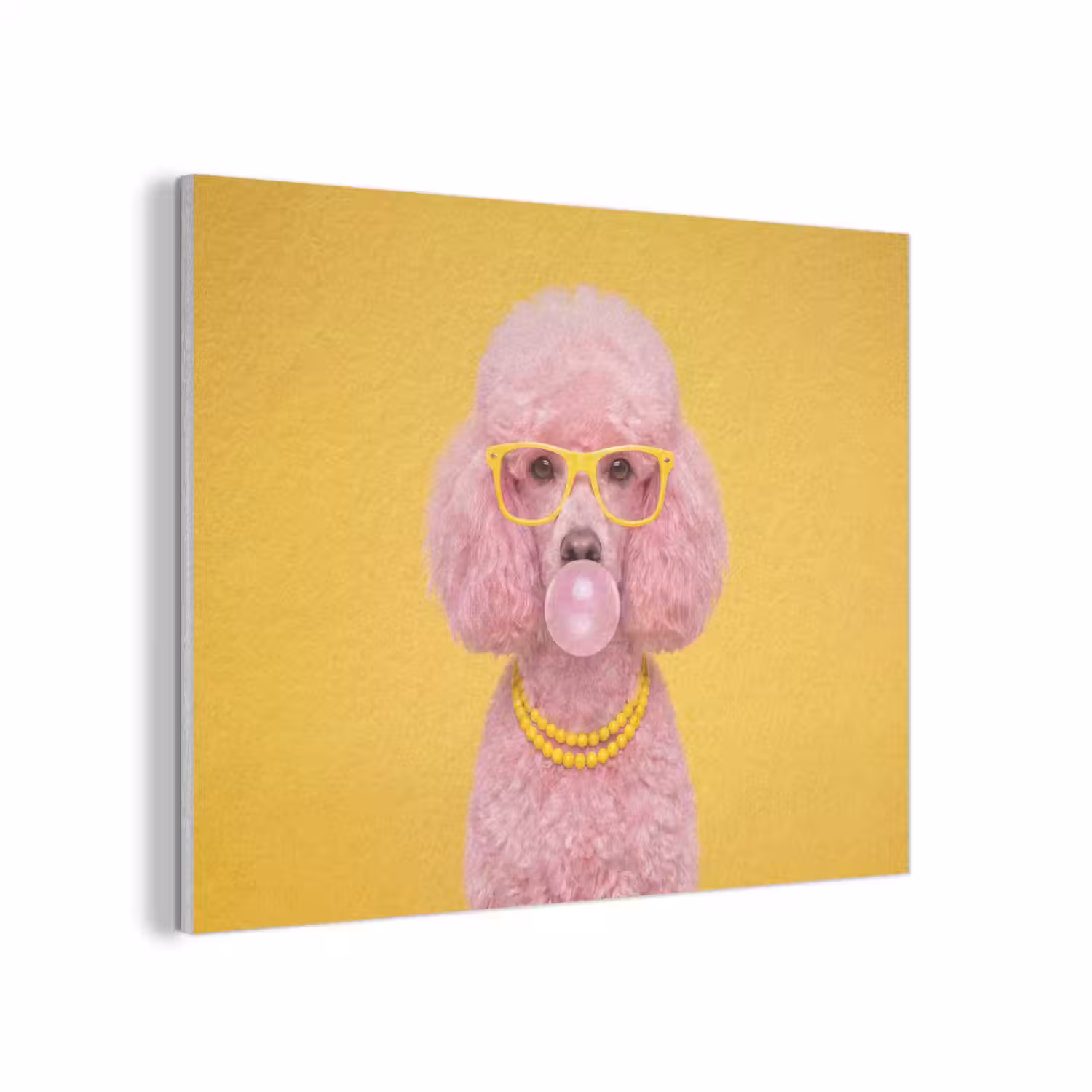 Hond - Kauwgum - Dieren - Modern - Roze PET vilt klein -3d