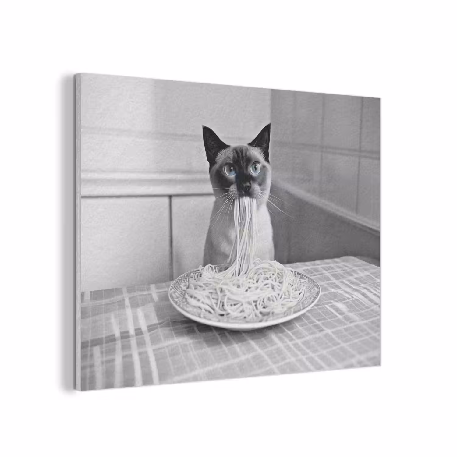Kat - Siamees - Zwart Wit - Schattig - Dieren PET vilt klein -3d