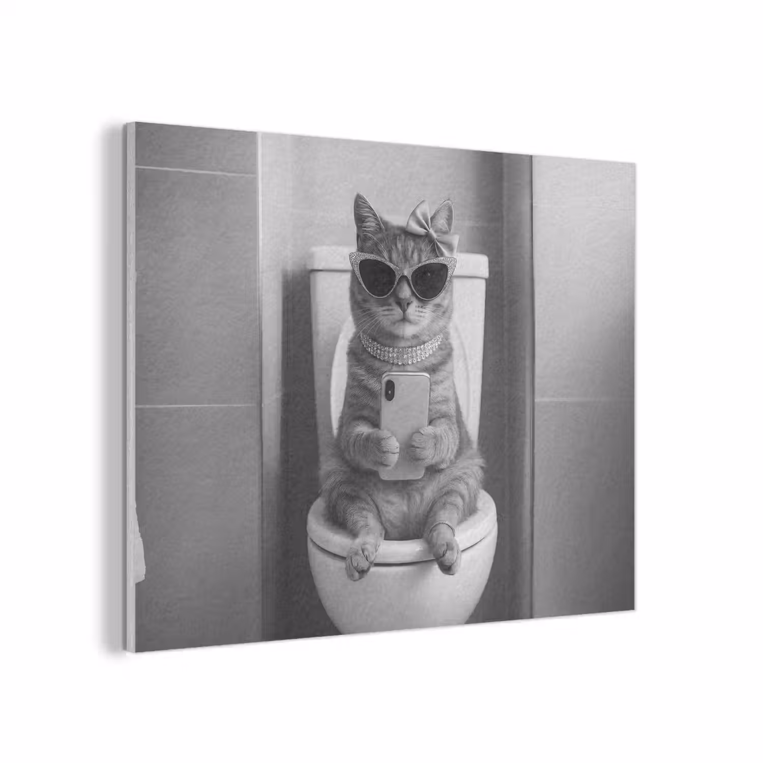 Kat - Telefoon - Toilet - Zwart - Wit PET vilt klein -3d