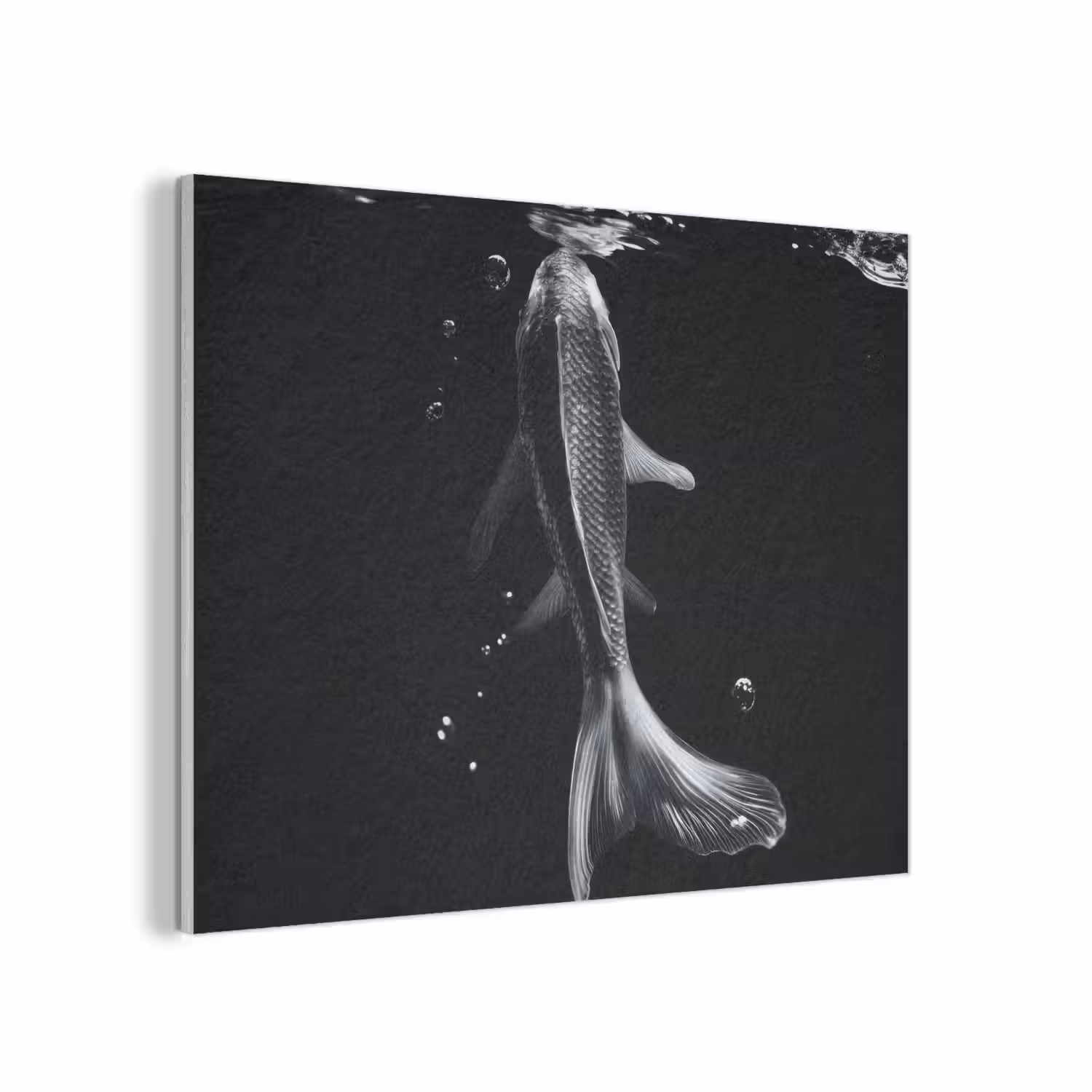 Koi - Vissen - Water - Zwart PET vilt klein -3d