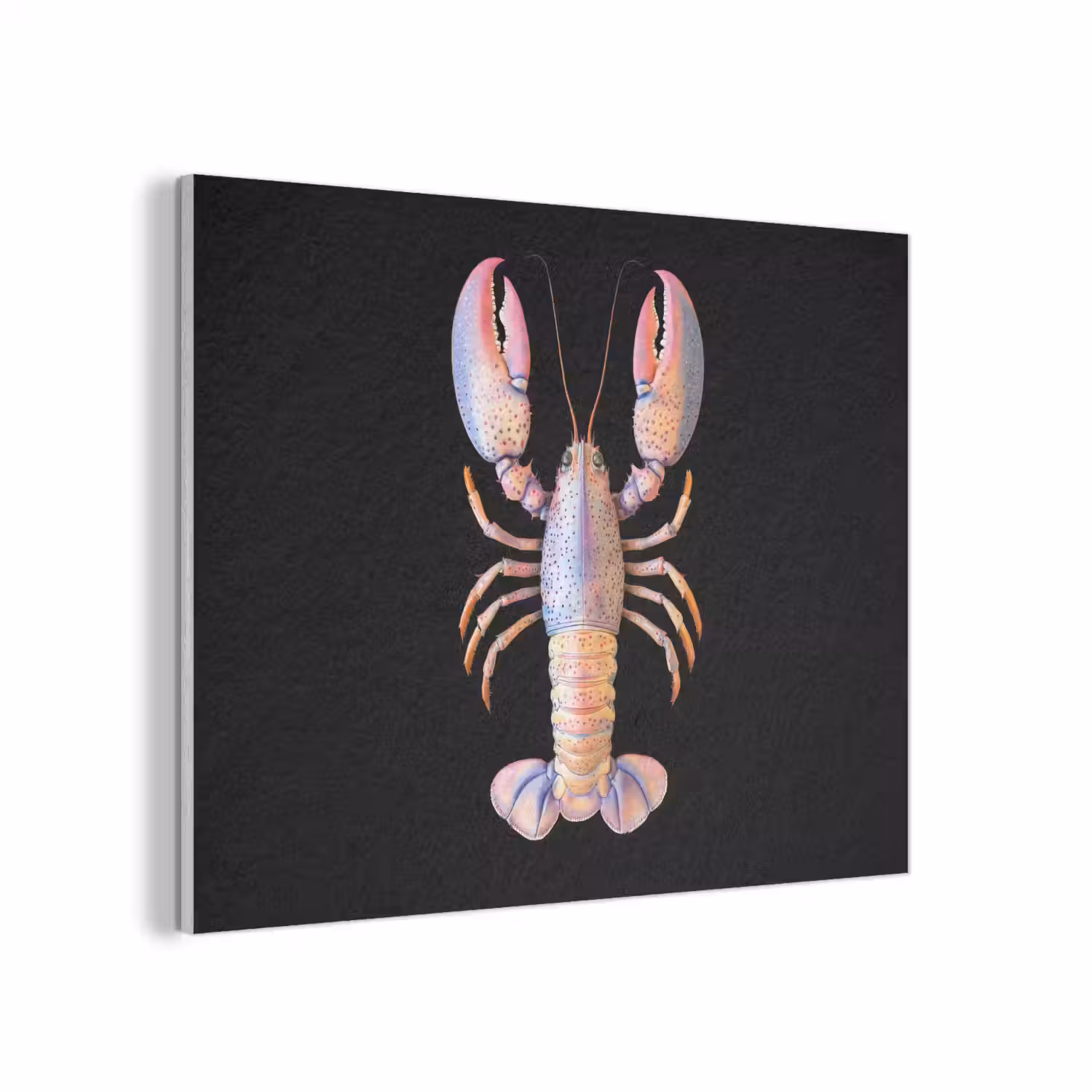 Kreeft - Roze - Zacht - Zwart PET vilt klein -3d