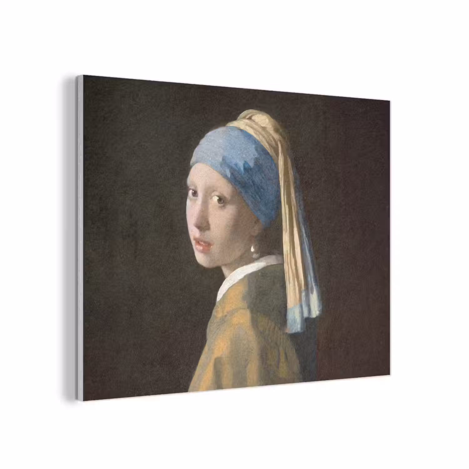 Meisje met de parel - Schilderij - Oude meesters - Vermeer PET vilt klein -3d