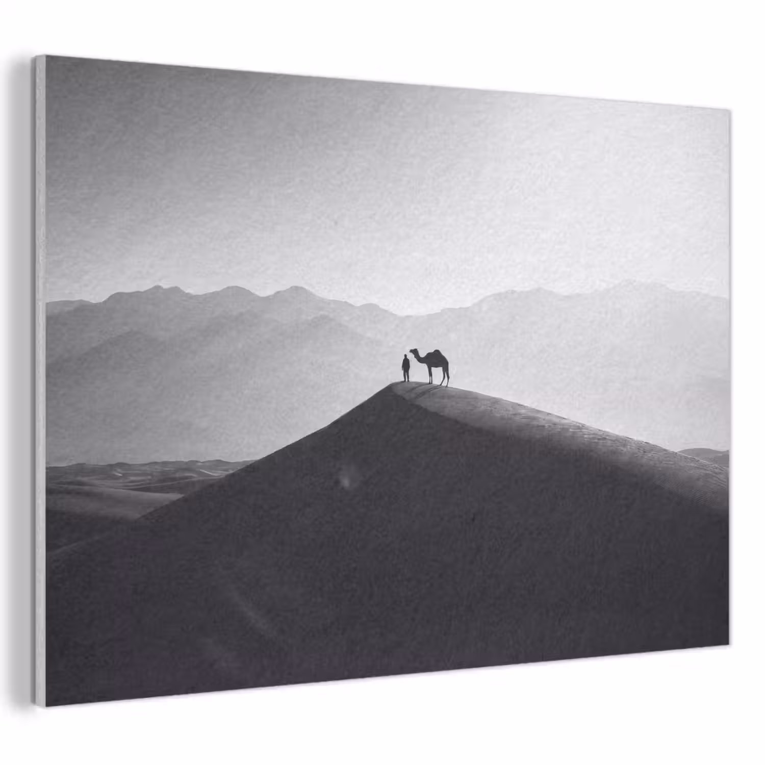 Mens - Kameel - Zandduin - Natuur - Monochroom PET vilt klein -3d