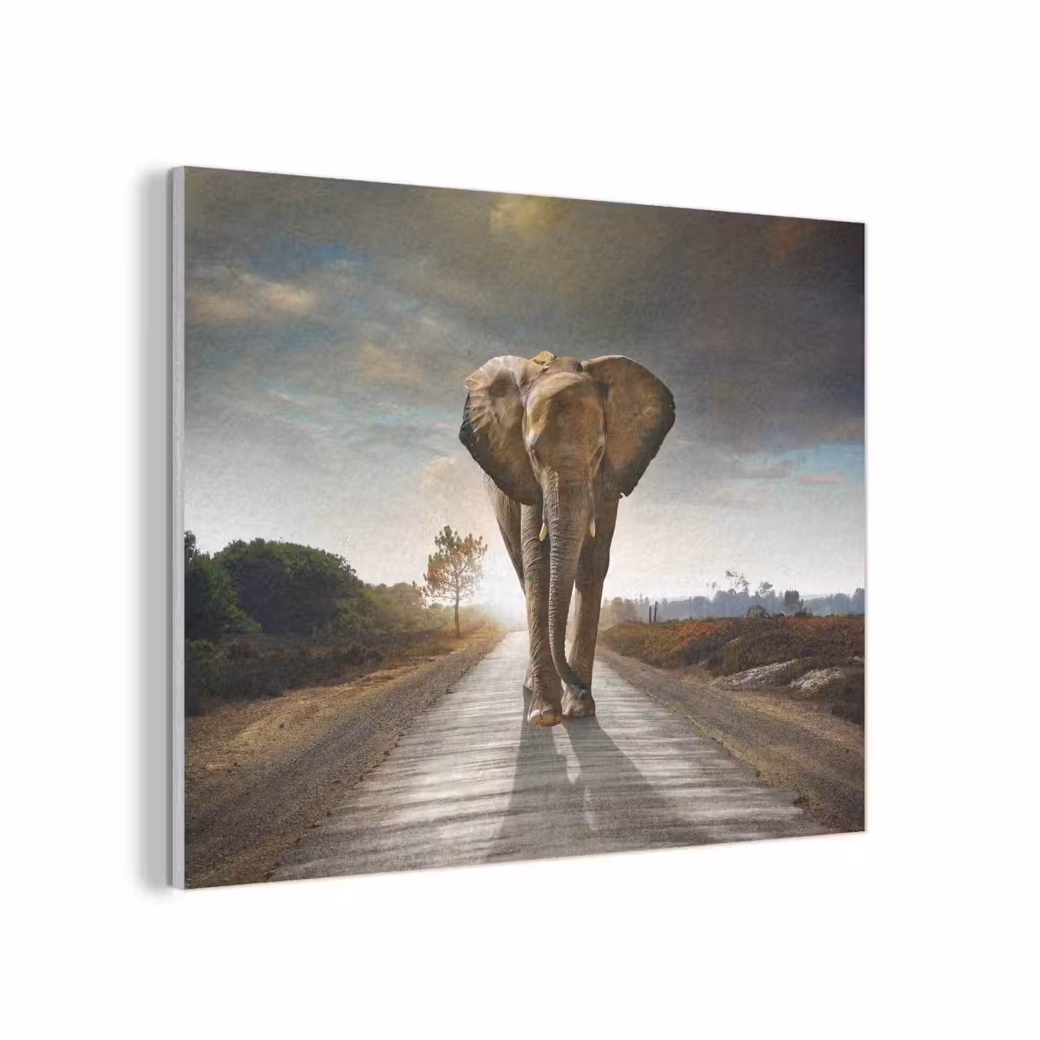 Olifant - Weg - Dieren - Zonsondergang - Landschap PET vilt klein -3d