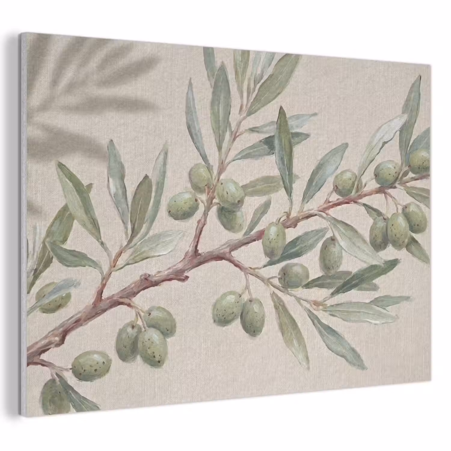 Olijftak - Bladeren - Natuur - Groen - Beige PET vilt klein -3d