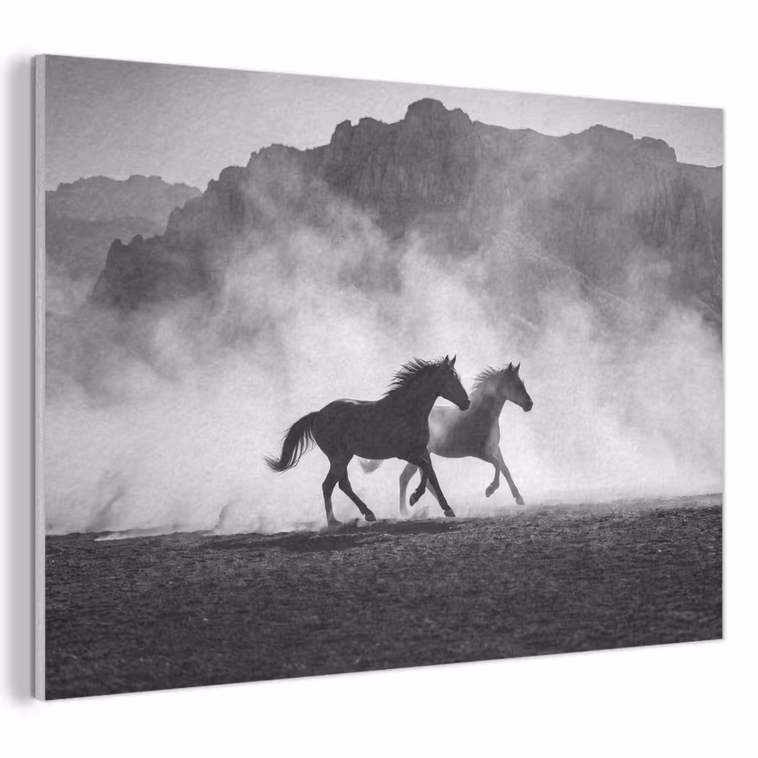 Paard - Ren - Stof - Zwart-wit - Dieren PET vilt klein -3d