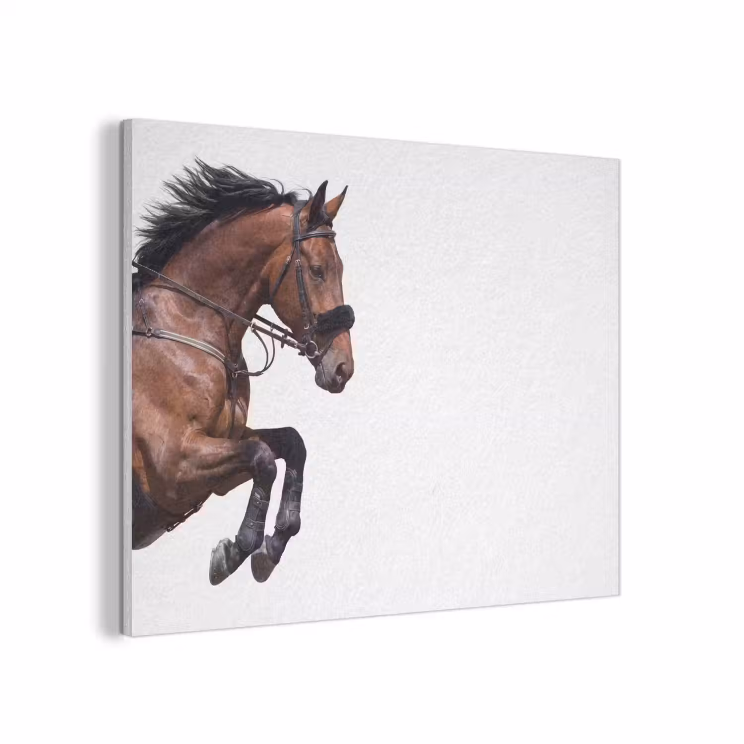 Paard - Springen - Modern PET vilt klein -3d