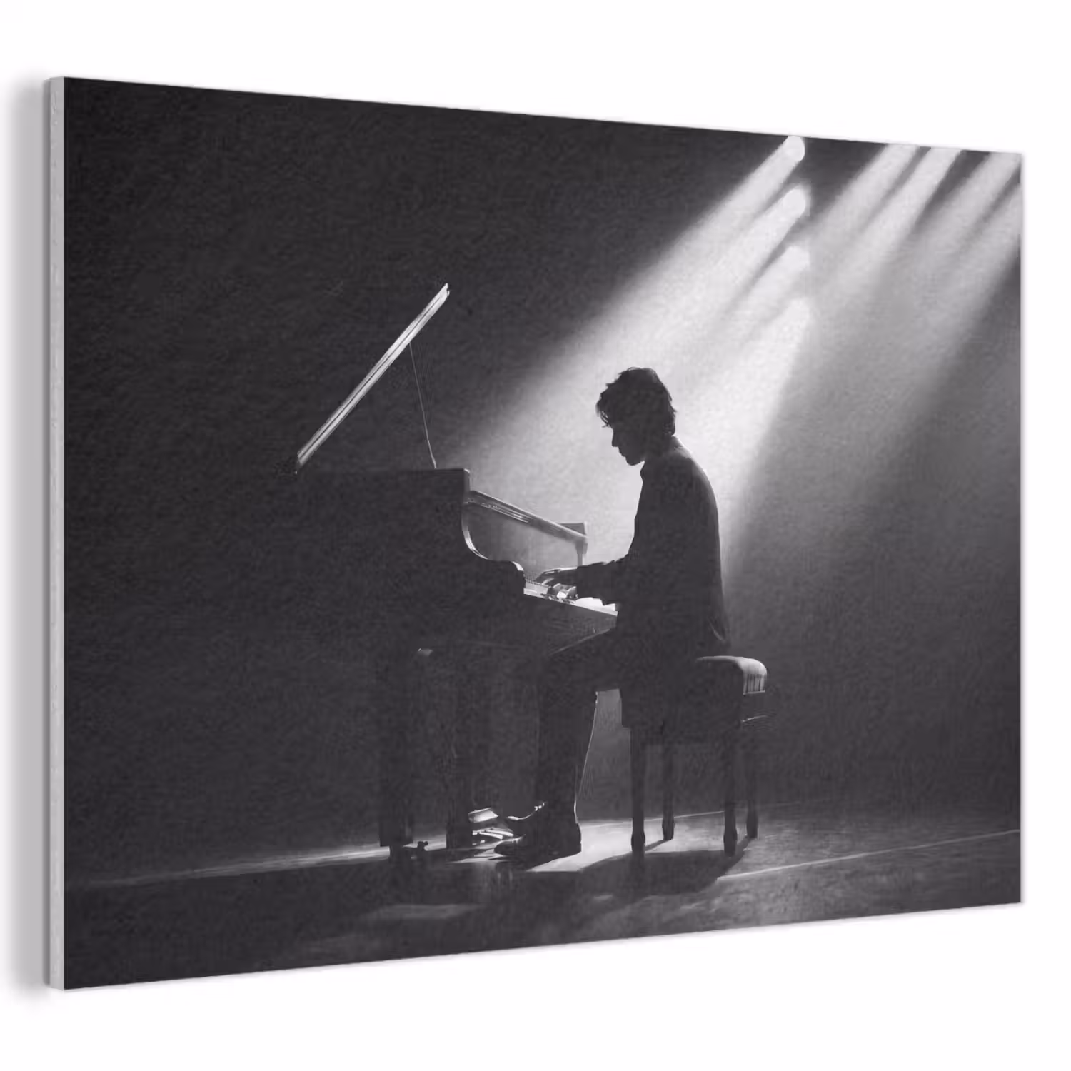 Persoon - Piano - Muziek - Zwart-wit - Podium PET vilt klein -3d