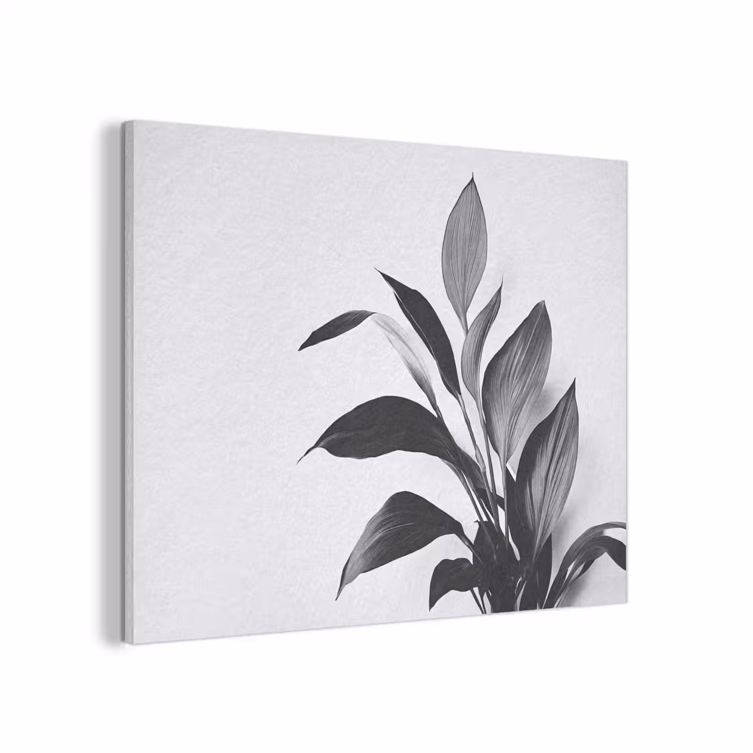 Plant - Bladeren - Minimalistisch - Zwart PET vilt klein -3d