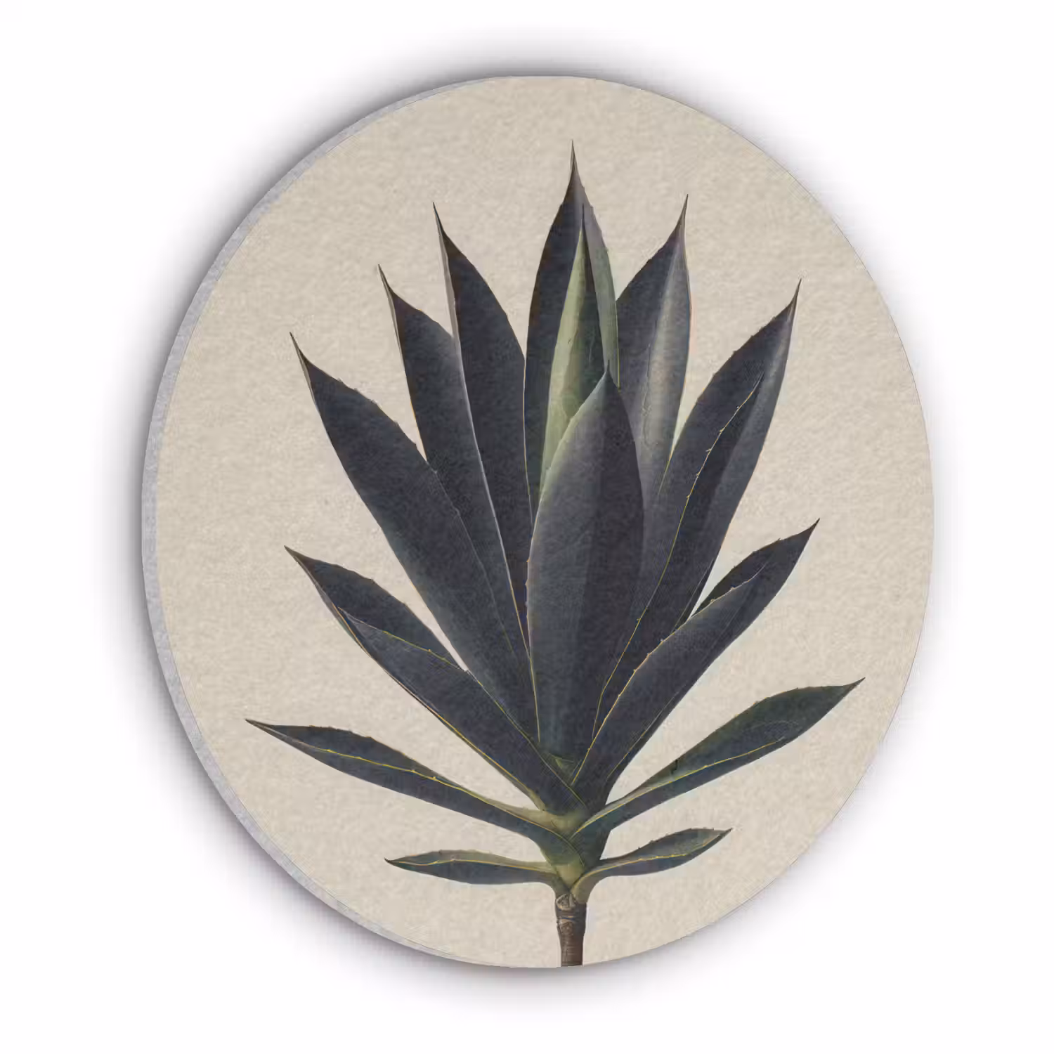 Agaveplant - Symmetrisch - Groen Akoestische PET Vilt - Rond klein -3d