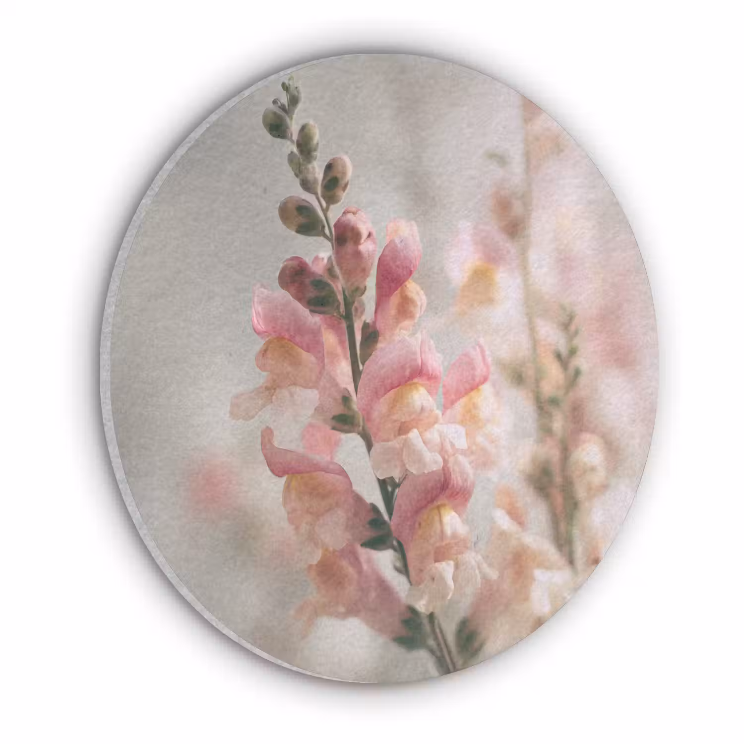 Bloem - Leeuwenbek - Roze - Stengel Akoestische PET Vilt - Rond klein -3d