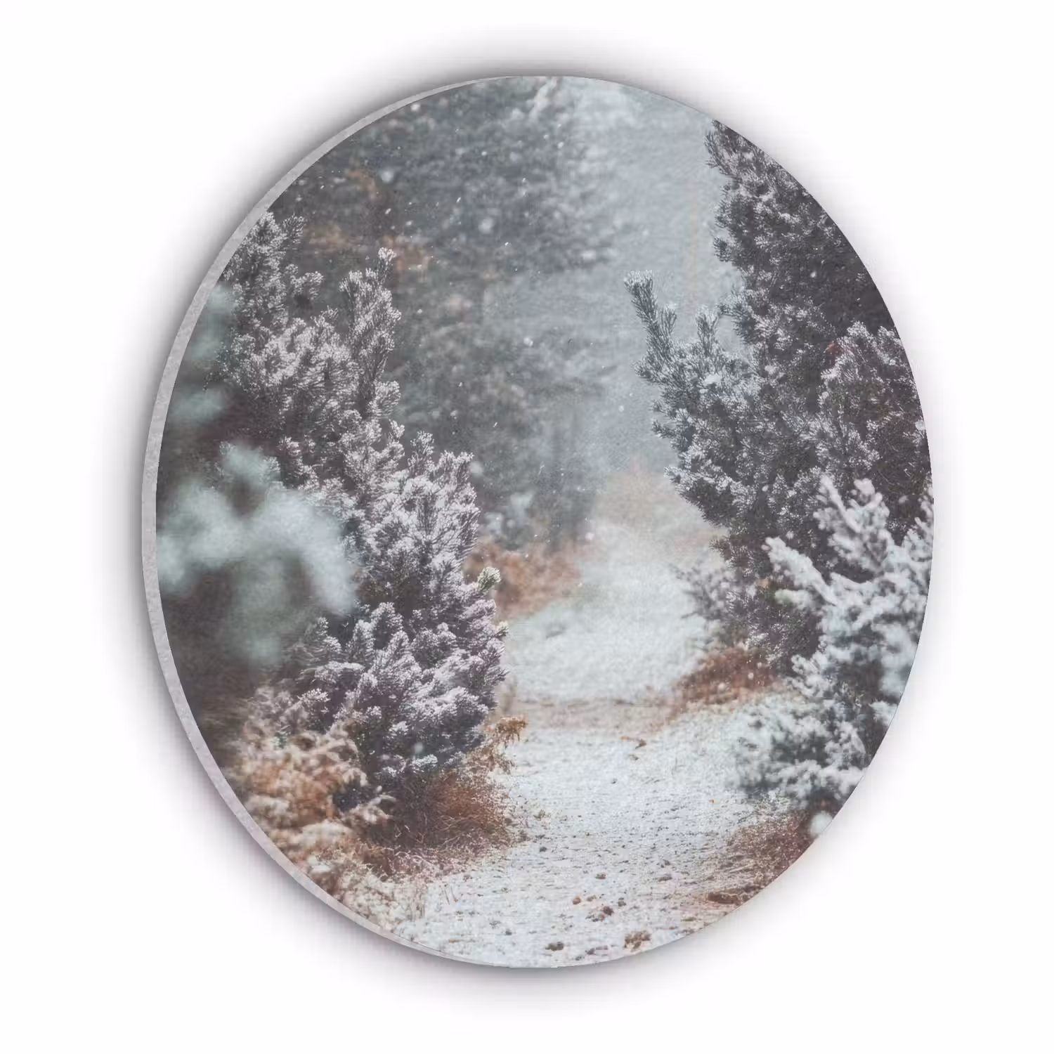 Bos - Winter - Bomen - Natuur - Pad - Sneeuw Akoestische PET Vilt - Rond klein -3d