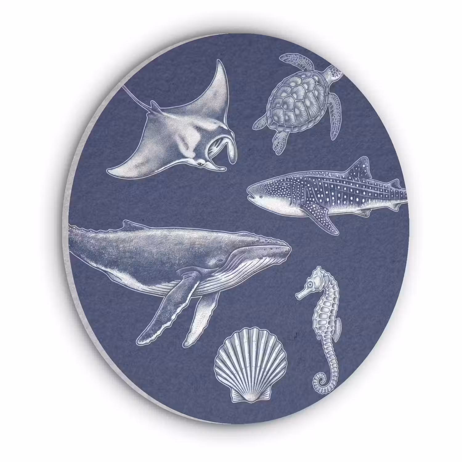 Dieren - Zeeleven - Oceaan - Graveren - Blauw Akoestische PET Vilt - Rond klein -3d