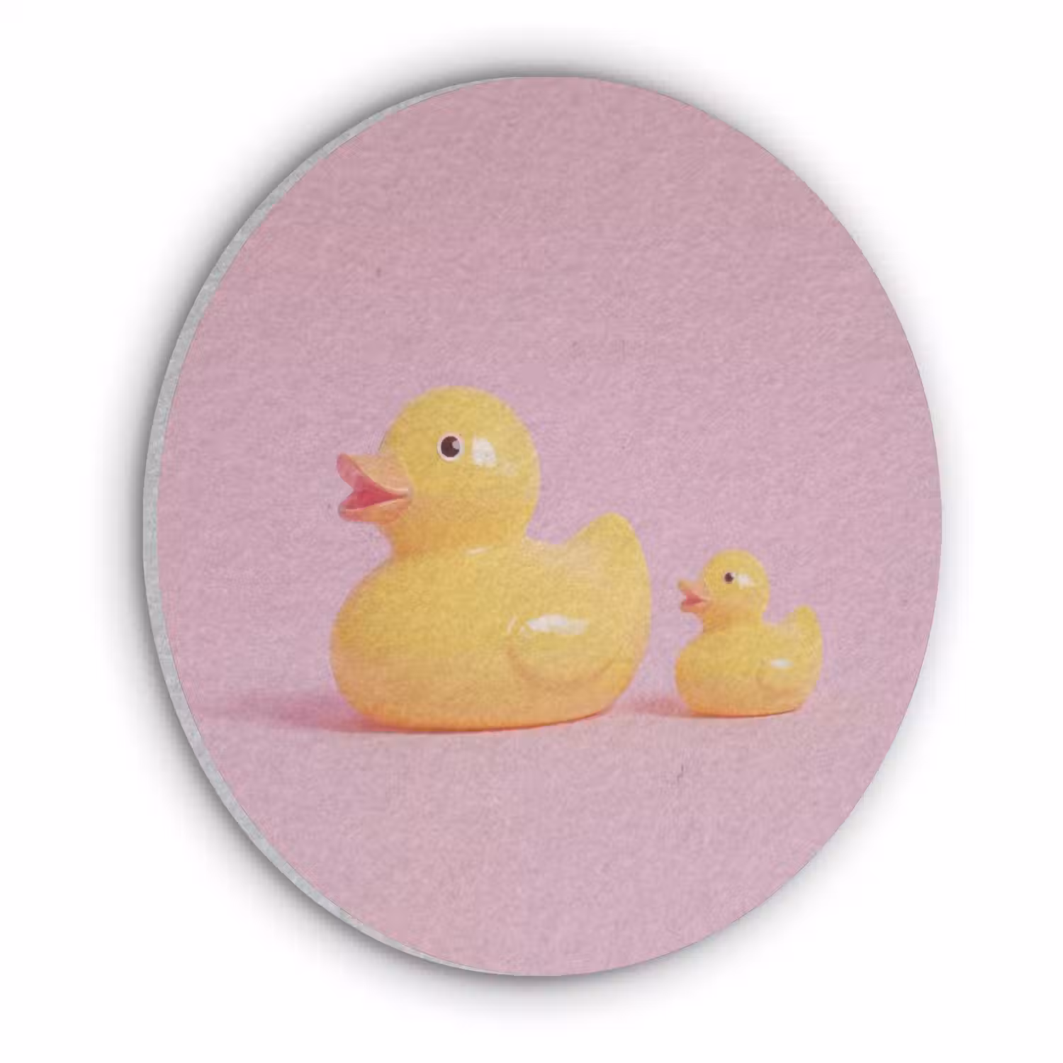 Eendjes - Vrolijk - Roze Akoestische PET Vilt - Rond klein -3d