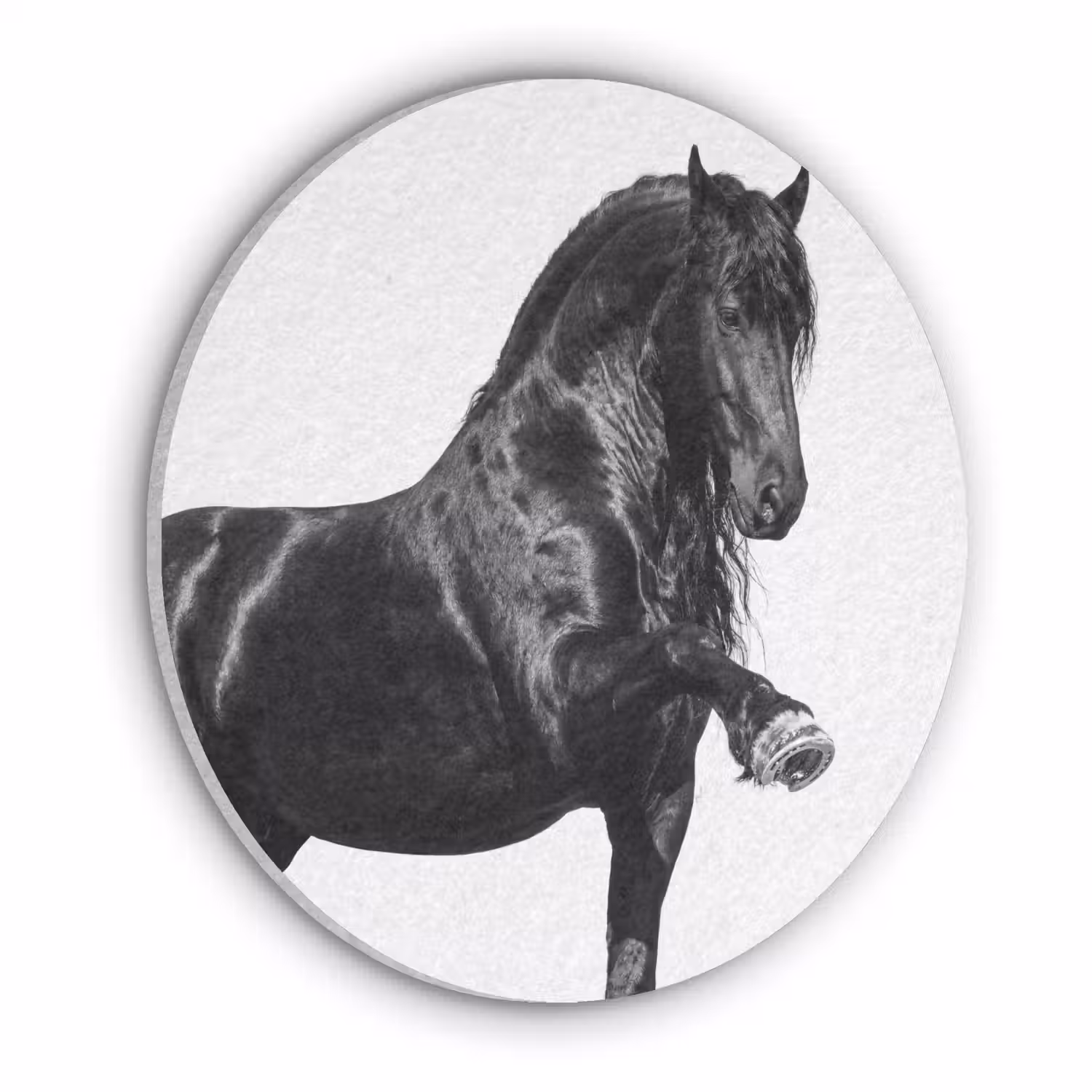 Fries - Hengst - Modern Akoestische PET Vilt - Rond klein -3d