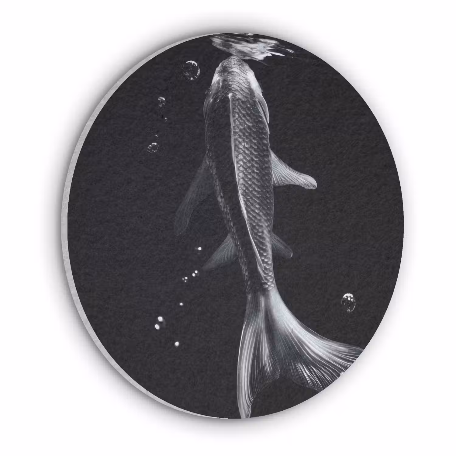 Koi - Vissen - Water - Zwart Akoestische PET Vilt - Rond klein -3d