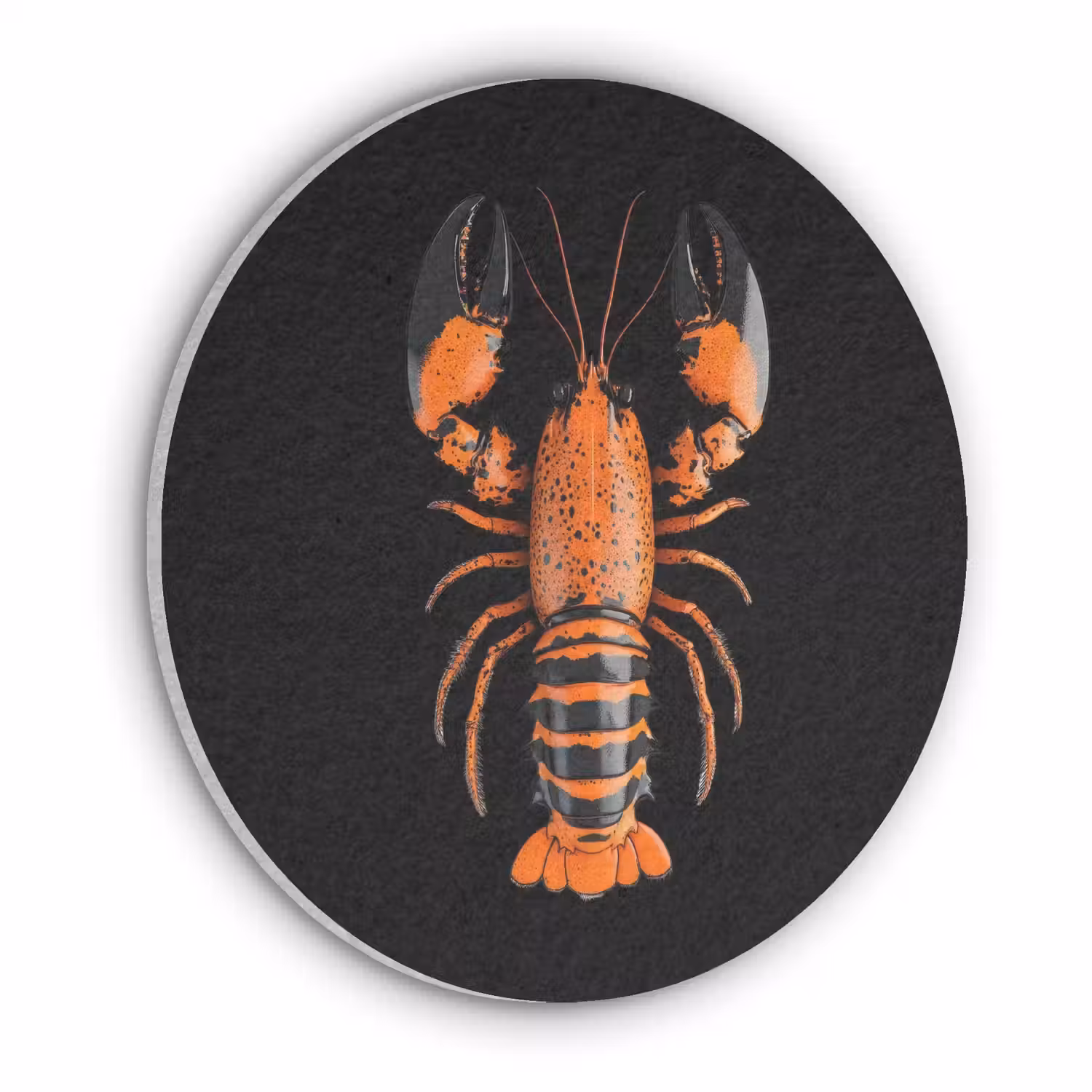 Kreeft - Oranje - Zwart - Modern Akoestische PET Vilt - Rond klein -3d