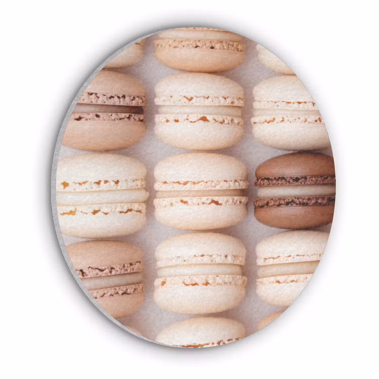 Macarons - Beige - Bruin Akoestische PET Vilt - Rond klein -3d