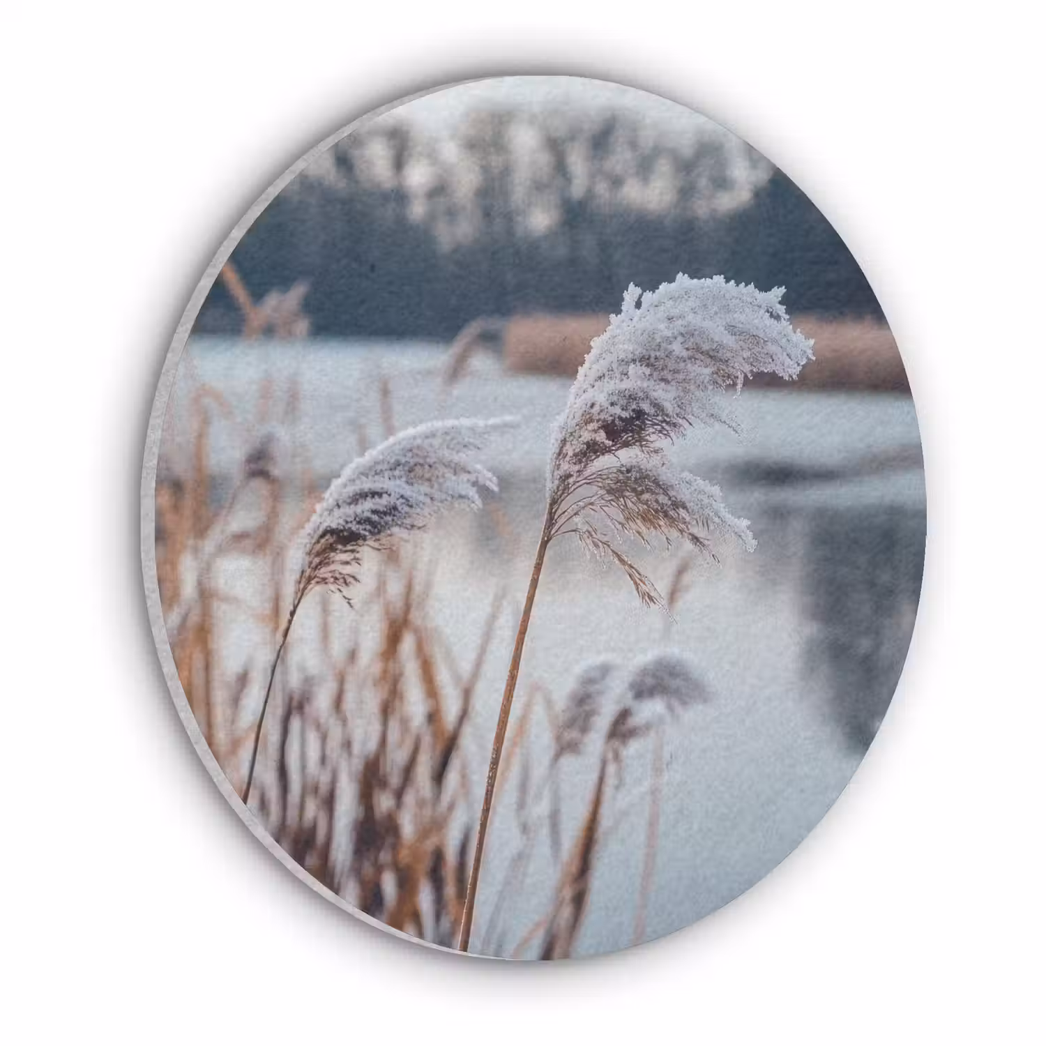 Riet - Gras - Natuur - Winter - Meer Akoestische PET Vilt - Rond klein -3d