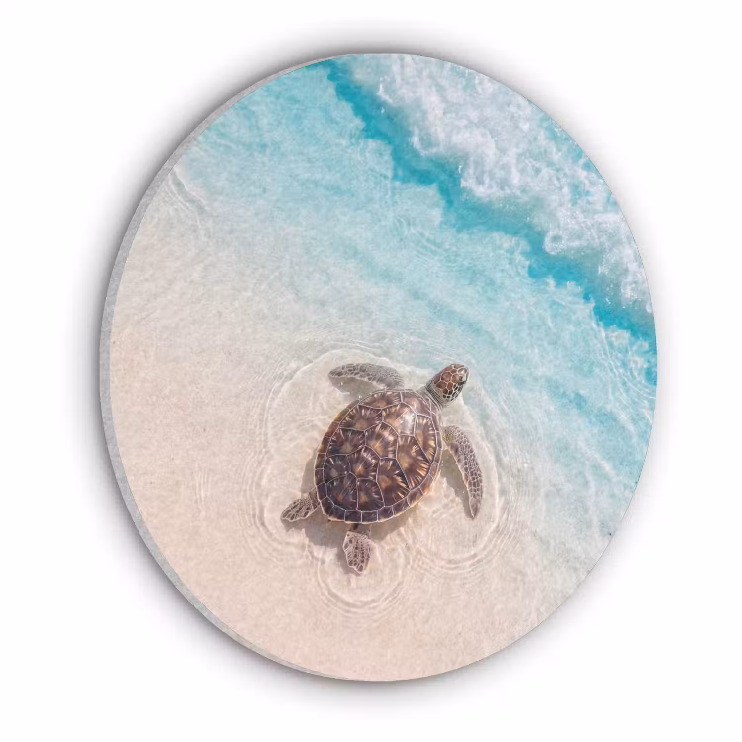 Schildpad - Helder water - Strand - Dieren - Natuur Akoestische PET Vilt - Rond klein -3d