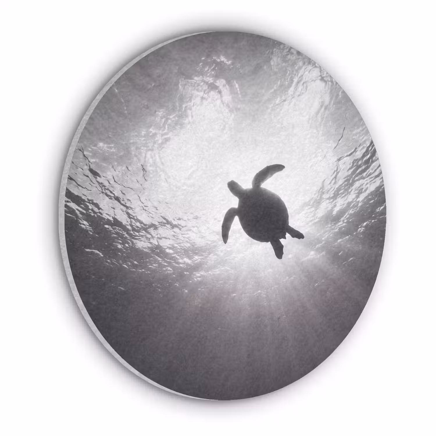 Schildpad - Onderwater - Lichtstralen - Oceaan - Zwart-wit Akoestische PET Vilt - Rond klein -3d