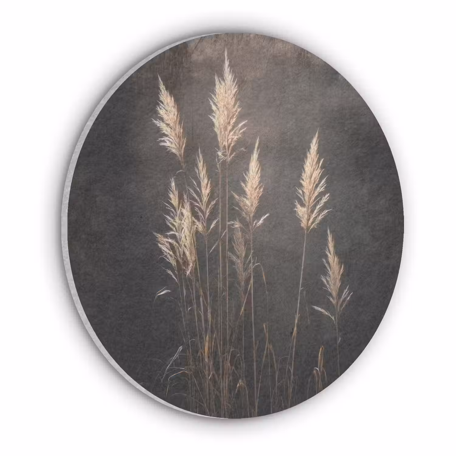 Siergras - Pluimen - Verlichting - Zwart Akoestische PET Vilt - Rond klein -3d