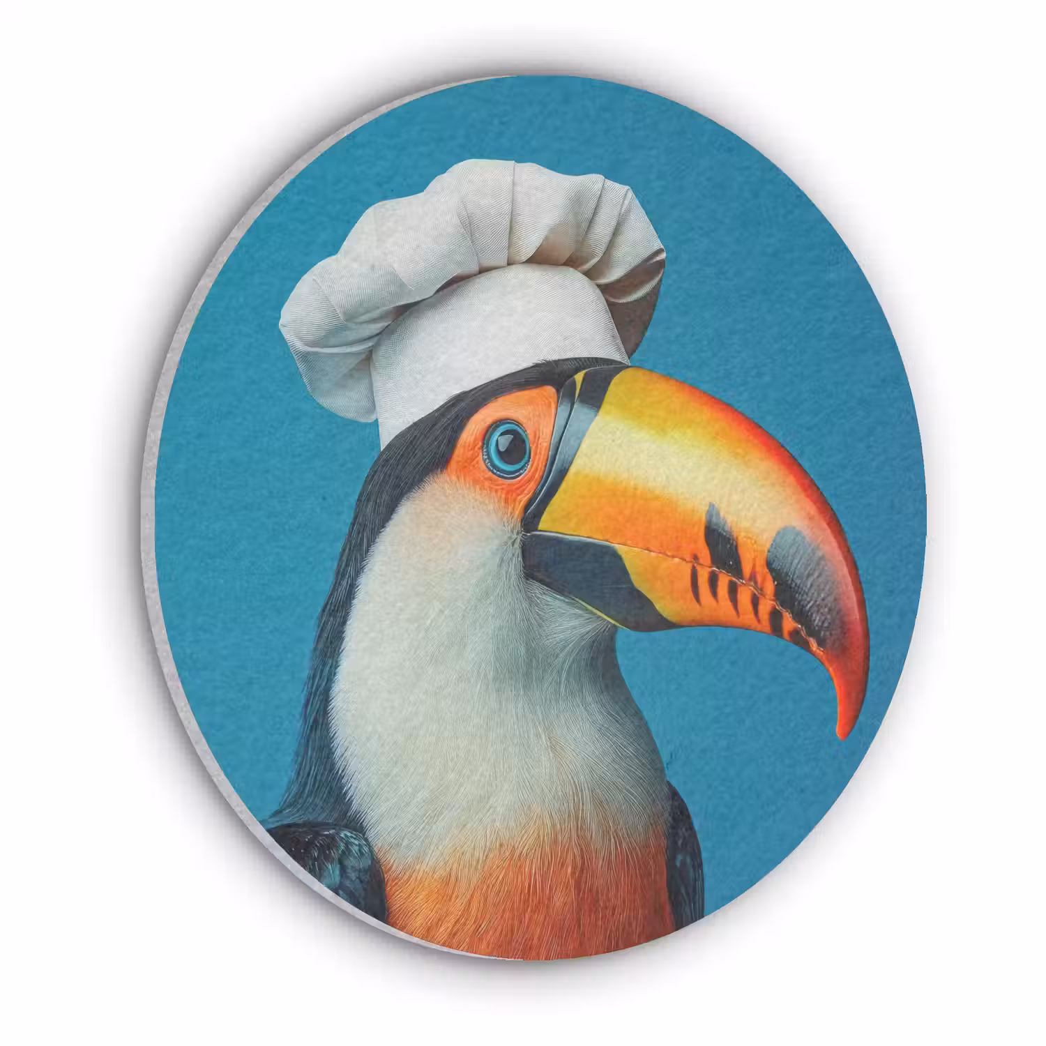 Toekan - Papegaai - Vogel - Koksmuts Akoestische PET Vilt - Rond klein -3d