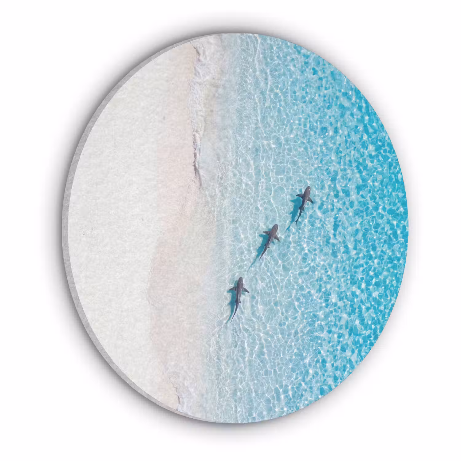 Vis - Oceaan - Strand - Turquoise - Natuur Akoestische PET Vilt - Rond klein -3d