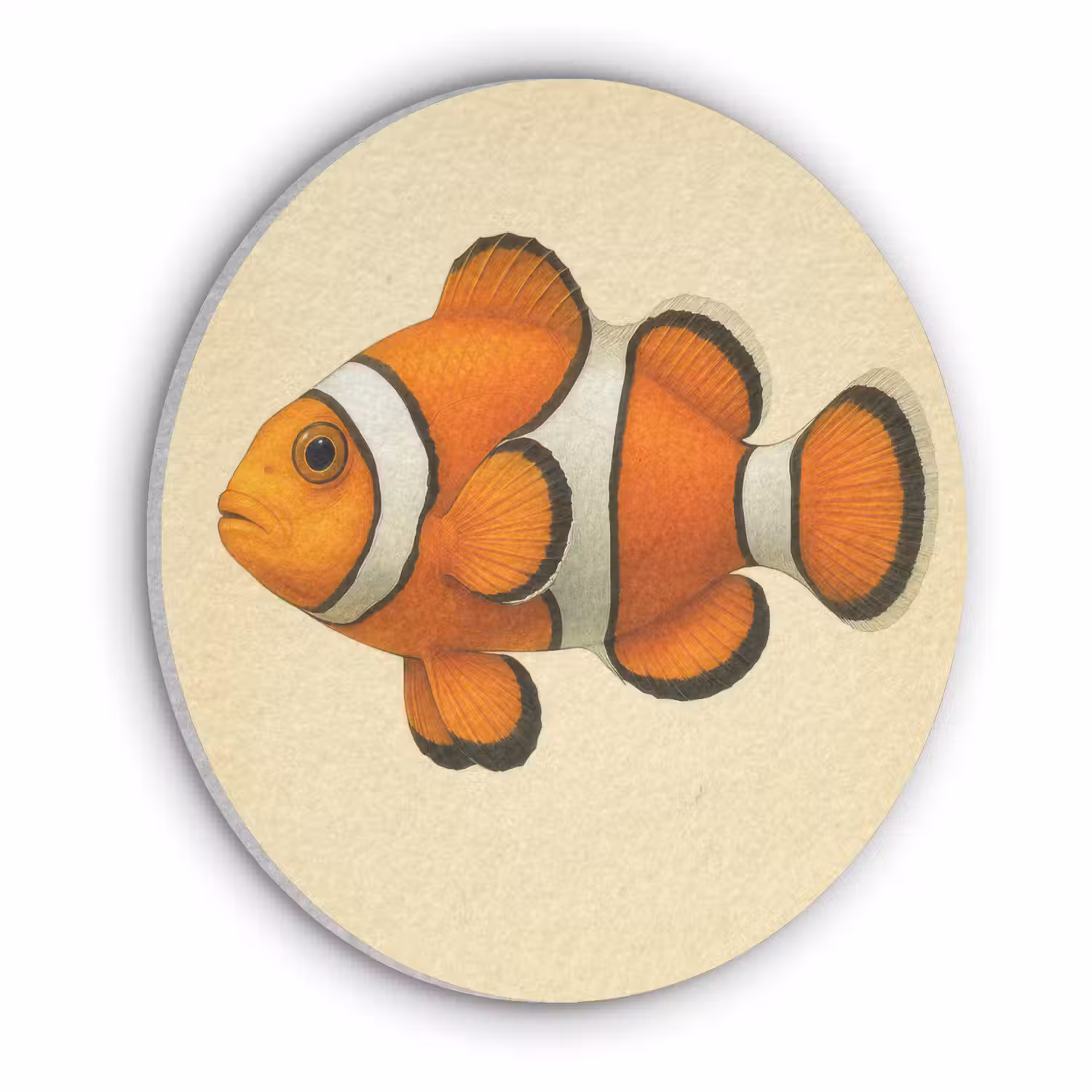 Vis - Oranje - Strepen Akoestische PET Vilt - Rond klein -3d