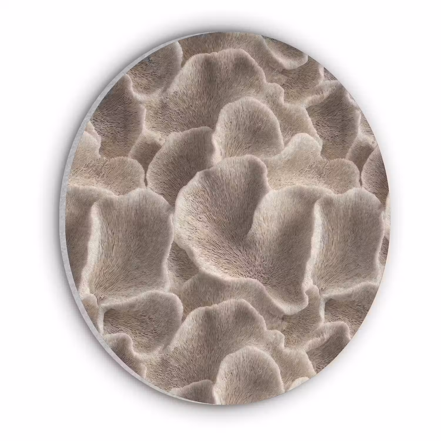 Waaiervorm - Beige - Vezel textuur Akoestische PET Vilt - Rond klein 838 -3d