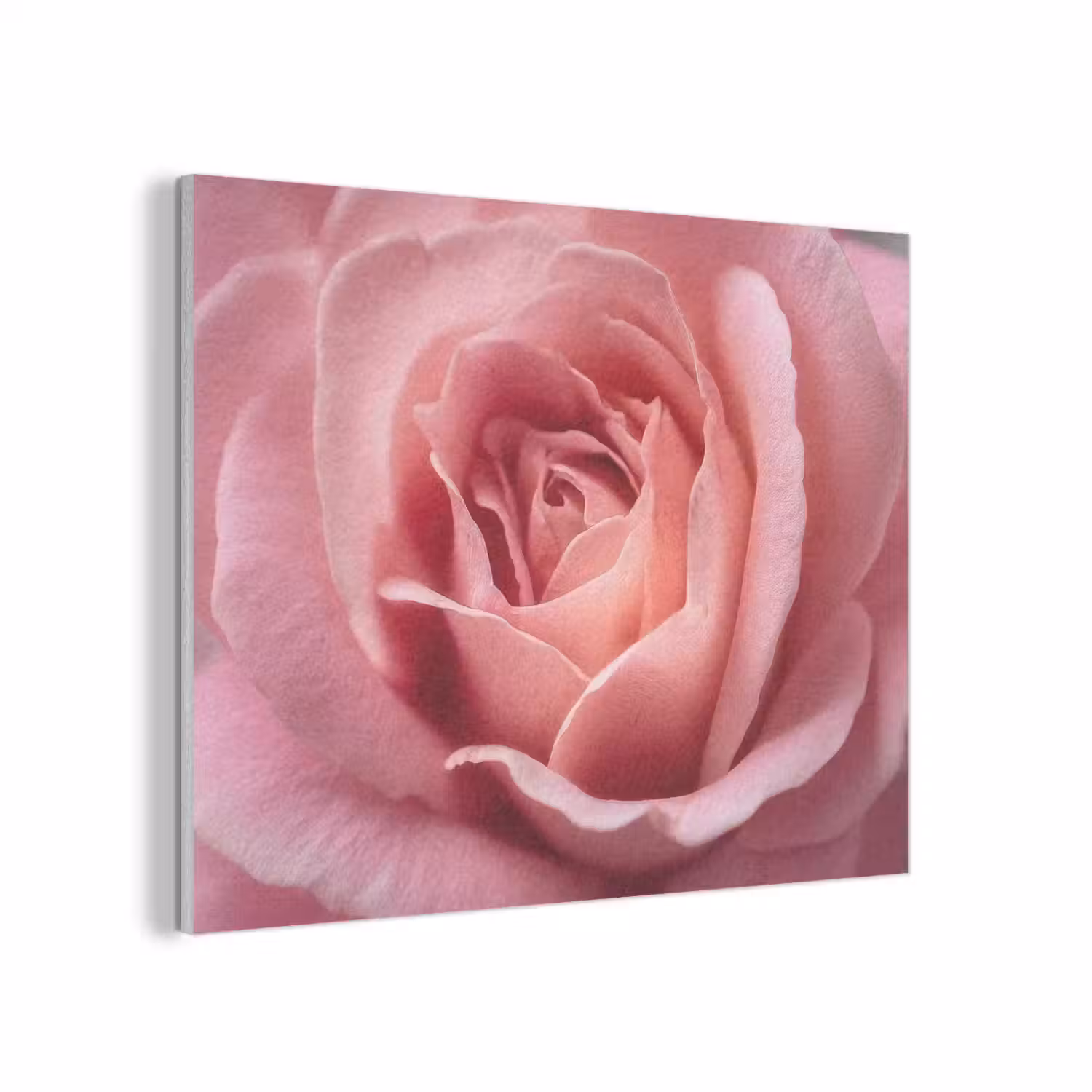 Roze - Roos - Romantisch PET vilt klein -3d