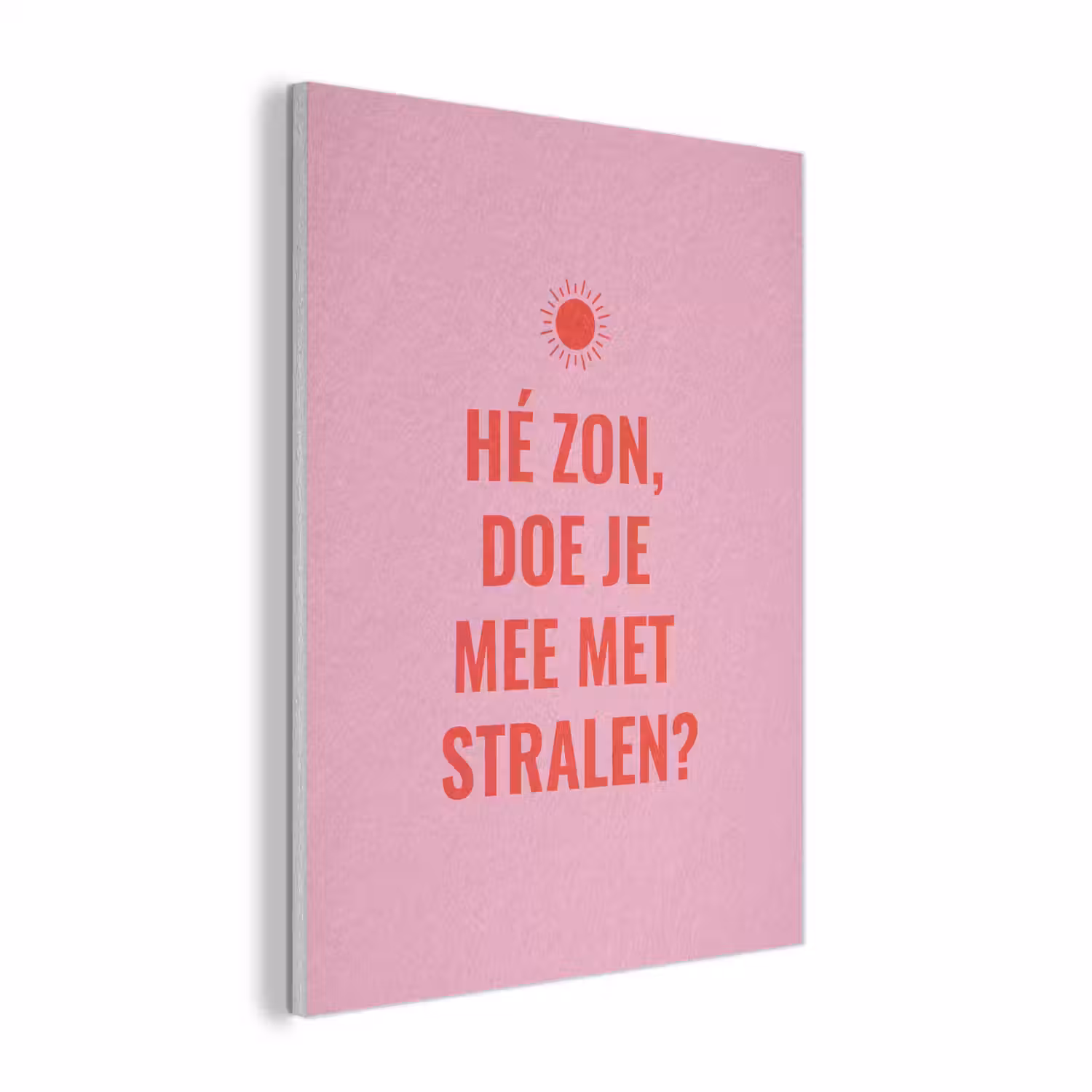Roze - Zon - Quote PET vilt klein -3d