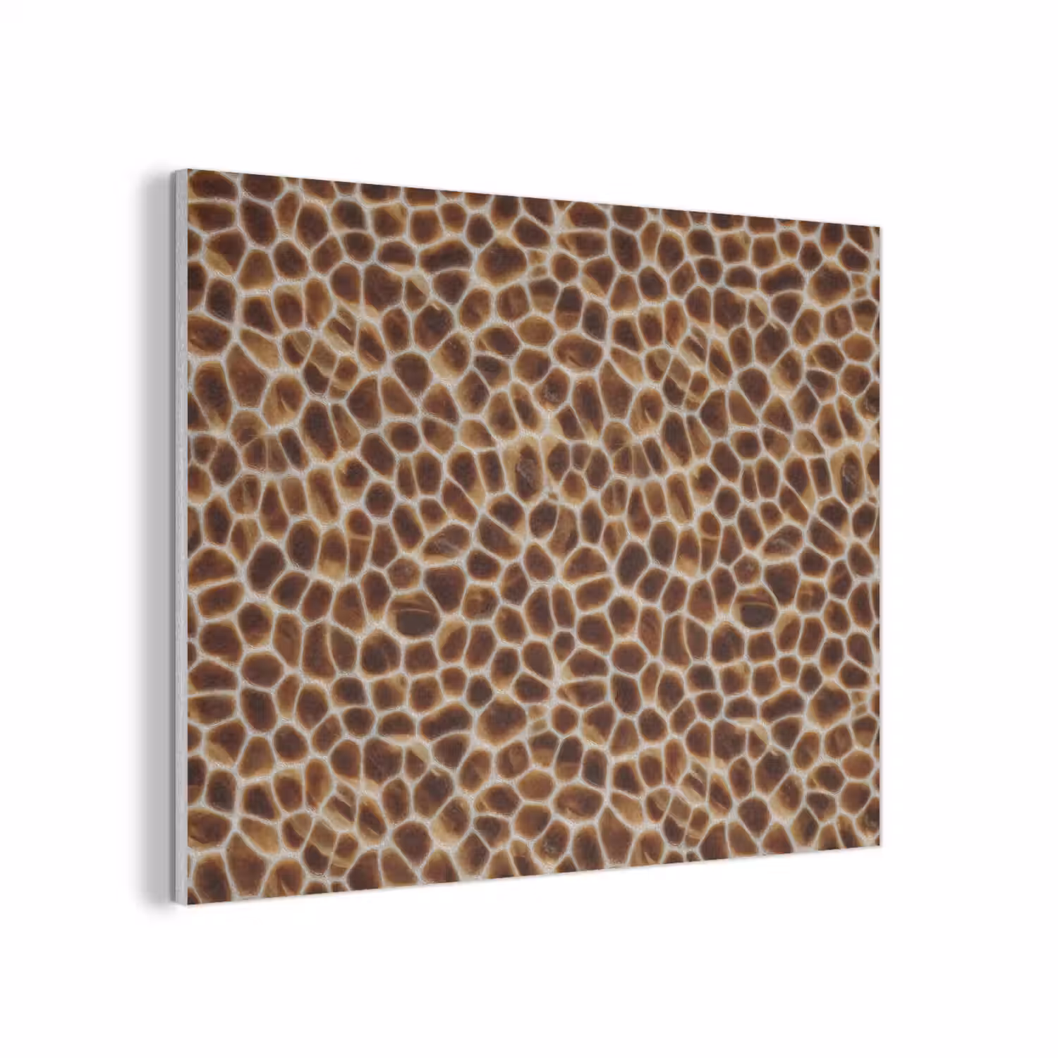 Schildpad - Bruin - Patroon PET vilt klein 837 -3d