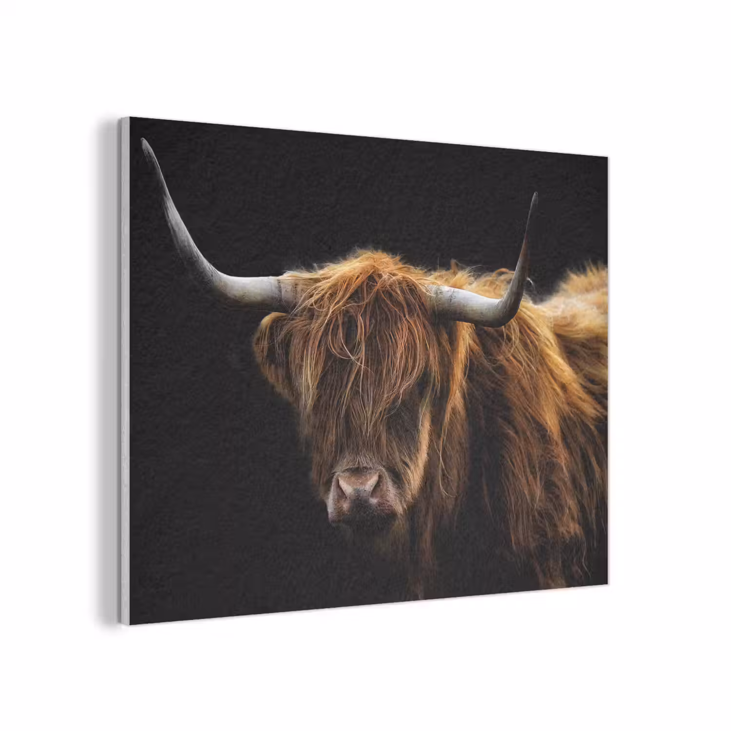 Schotse Hooglander - Horens - Zwart - Dieren - Natuur - Wild - Koe PET vilt klein -3d