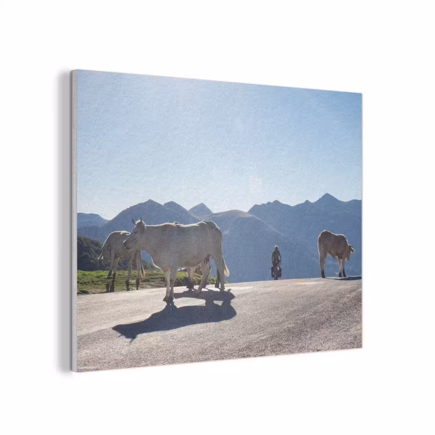 Schotse hooglander - Licht - Berg - Natuur PET vilt klein -3d