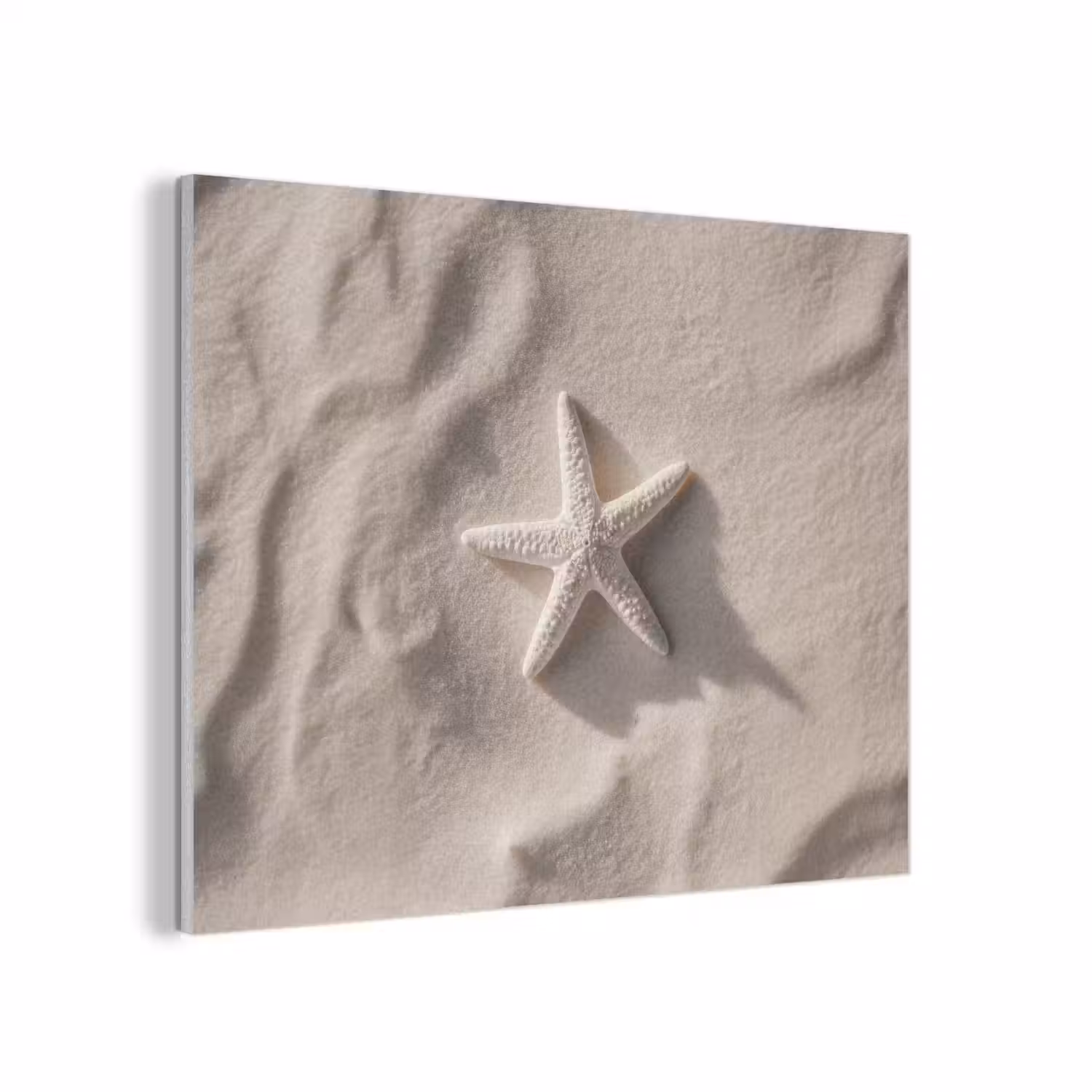 Strand - Zeester - Zand - Beige PET vilt klein -3d