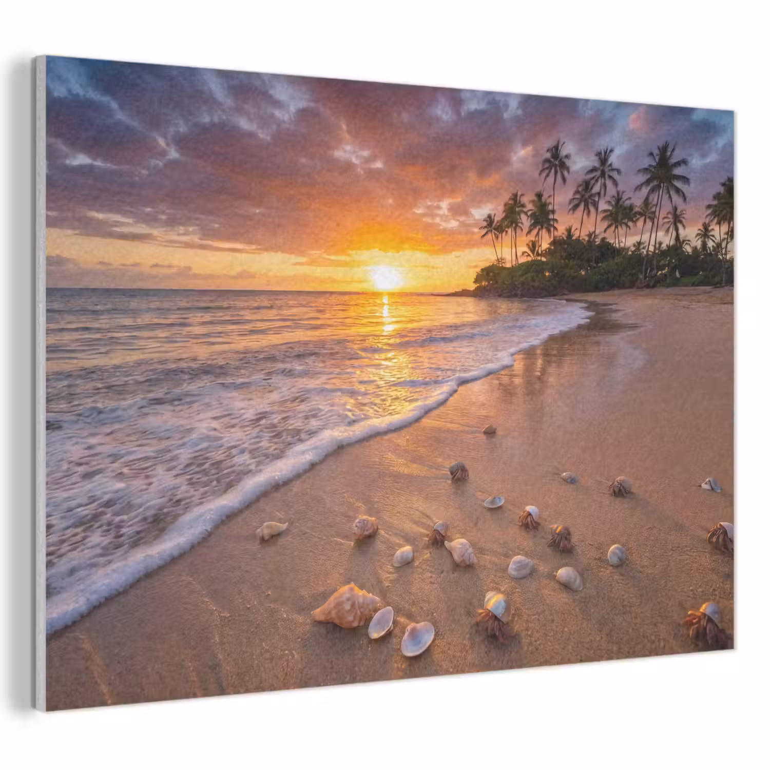 Strand - Zonsondergang - Palmbomen - Natuur - Oranje PET vilt klein -3d