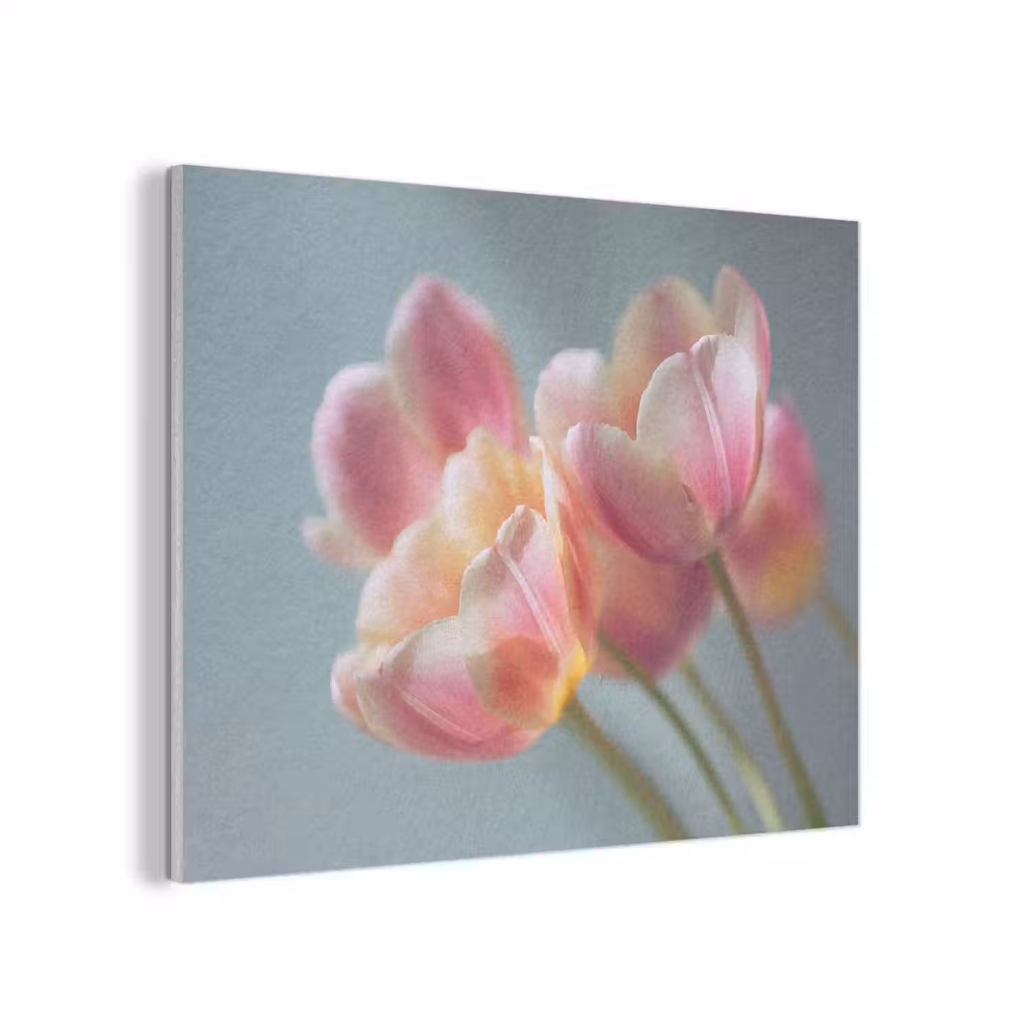 Tulpen - Roze - Stelen PET vilt klein -3d