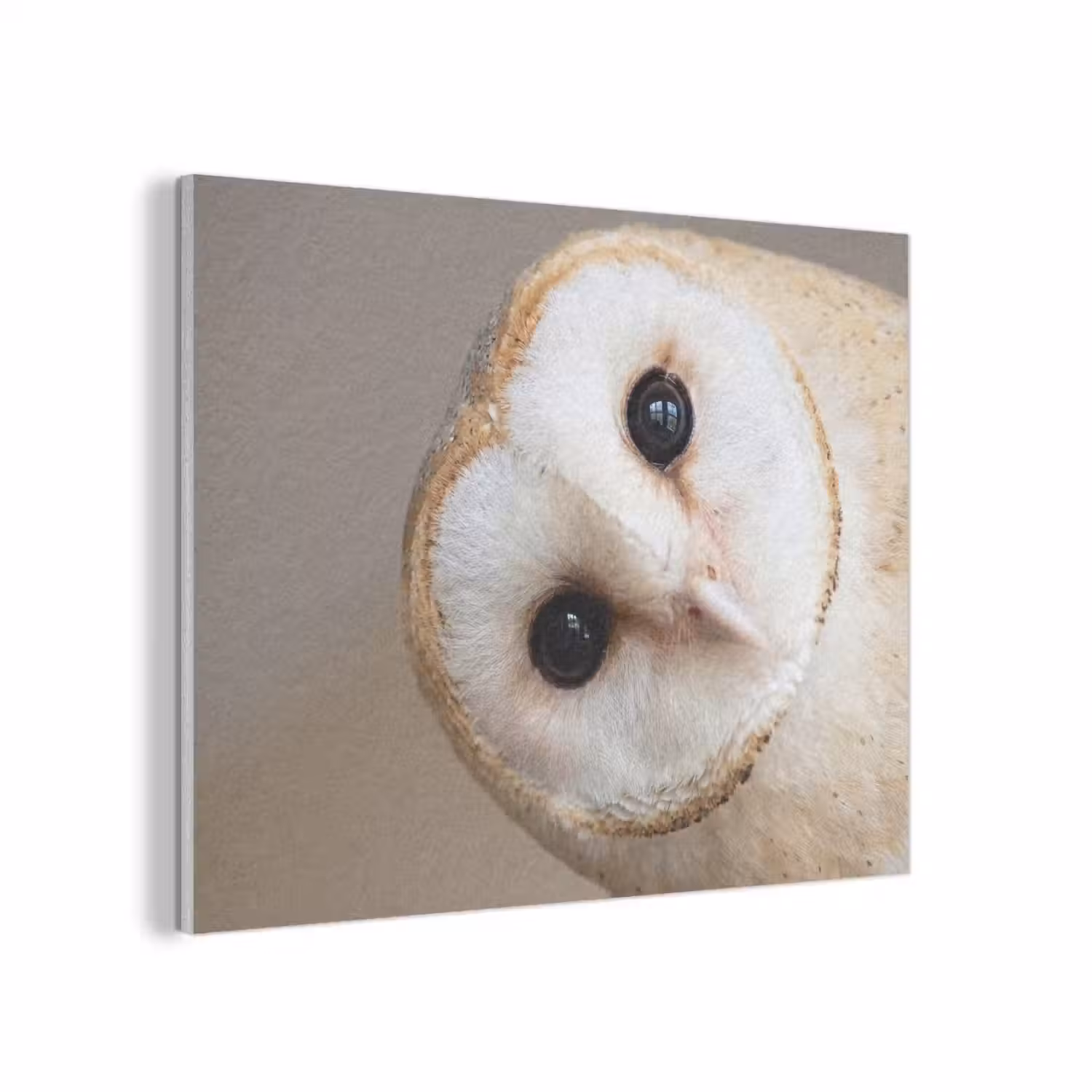 Uil - Bruin - Wit PET vilt klein -3d
