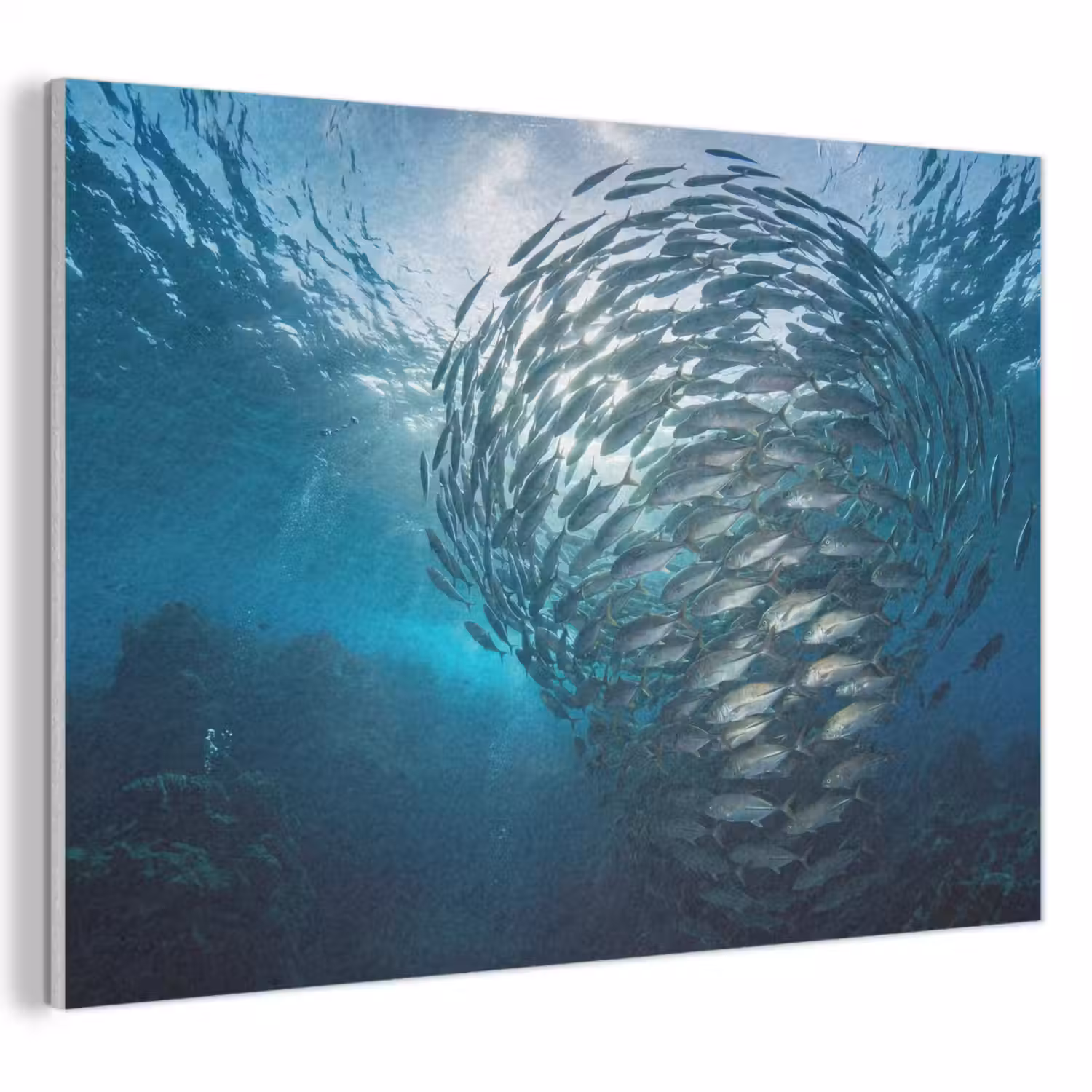 Vis - School - Oceaan - Natuur - Blauw PET vilt klein -3d